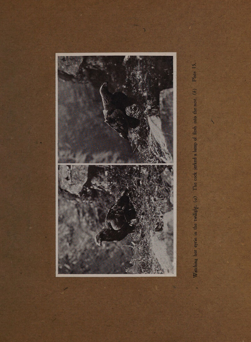 - | aug (9) * 4 sou dy} OWT Ysoy ou} ul oso a