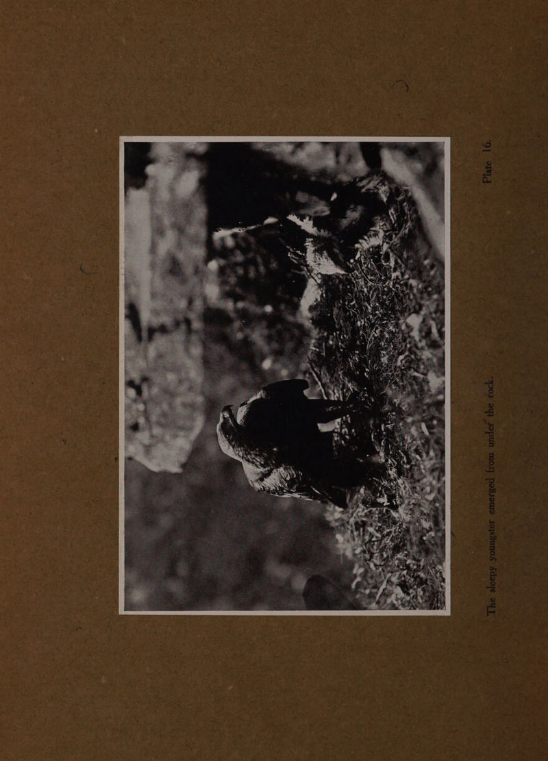 q * C a ete ‘ : % ivy «“@