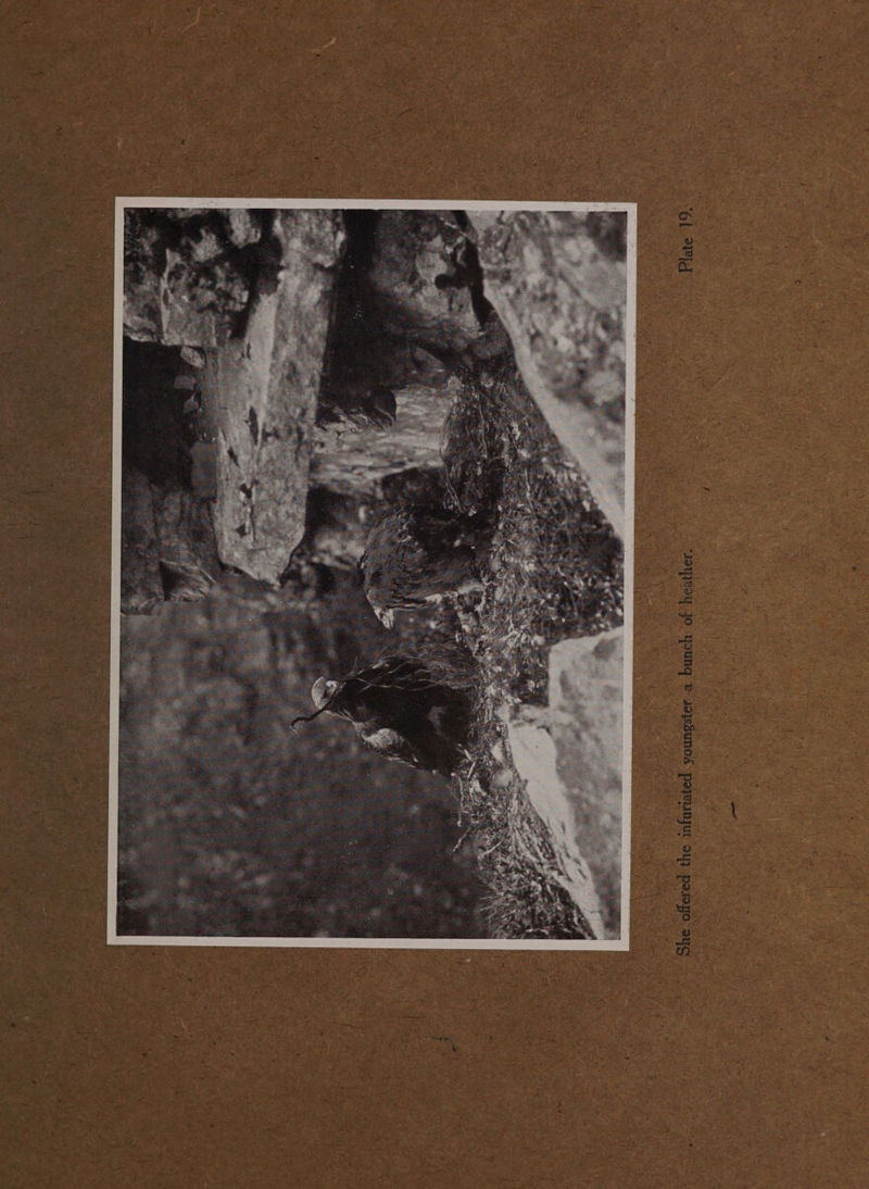 “6 = A » ~ : 7 i ¢ ‘ 4 i ap ct : me K { : Art Nigh : wines: Spe cat i a “oat t i } paioyo aqg