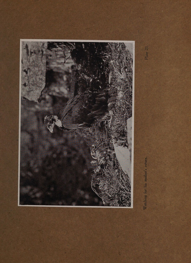 - eh et 4 6 ouout sit