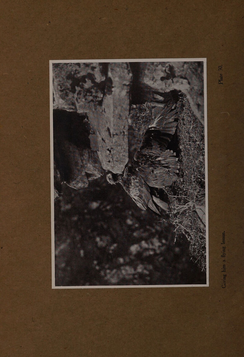 -uosso] Suisy © uty SUID {