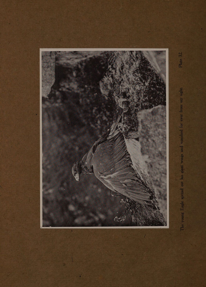 be “ — eer) T . hegre, Ye oBuna. UDB: sy I, % 14 1no ce al