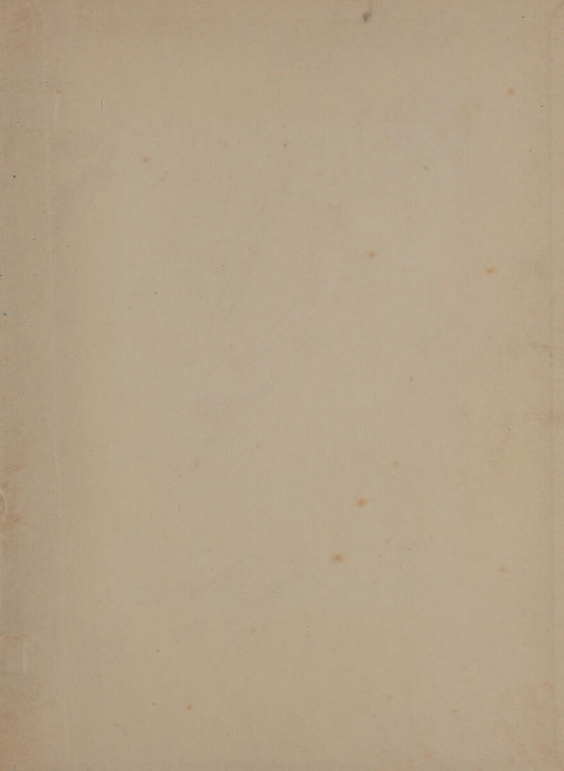 i, eres peg ¢ Oa 7. , : v ~* ae ie 7 i —_ A ery Ripe hye on nae arse Sosa it nid ins ‘ se ~ is * Relat ‘ ee oe - - a w Ale