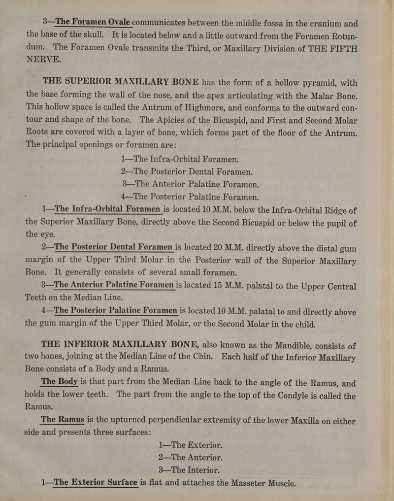 the base of the skull. It is located below and a little outward from the Foramen Rotun- dum. The Foramen Ovale transmits the Third, or Maxillary Division of THE FIFTH NERVE. THE SUPERIOR MAXILLARY BONE has the form of a hollow pyramid, with the base forming the wall of the nose, and the apex articulating with the Malar Bone. This hollow space is called the Antrum of Highmore, and conforms to the outward con- tour and shape of the bone. The Apicies of the Bicuspid, and First and Second Molar Roots are covered with a layer of bone, which forms part of the floor of the Antrum. The principal openings or foramen are: 1—The Infra-Orbital Foramen. 2—The Posterior Dental Foramen. 3—The Anterior Palatine Foramen. 4—The Posterior Palatine Foramen. 1—The Infra-Orbital Foramen is located 10 M.M. below the Infra-Orbital Ridge of the Superior Maxillary Bone, directly above the Second Bicuspid or below the pupil of the eye. 2—The Posterior Dental Foramen is located 20 M.M. directly above the distal gum margin of the Upper Third Molar in the Posterior wall of the Superior Maxillary Bone. It generally consists of several small foramen. 3—The Anterior Palatine Foramen is located 15 M.M. palatal to the Upper Central Teeth on the Median Line. 4—The Posterior Palatine Foramen is located 10 M.M. palatal to and directly above the gum margin of the Upper Third Molar, or the Second Molar in the child. THE INFERIOR MAXILLARY BONE, also known as the Mandible, consists of two bones, joining at the Median Line of the Chin. Each half of the Inferior Maxillary Bone consists of a Body and a Ramus. The Body is that part from the Median Line back to the angle of the Ramus, and holds the lower teeth. The part from the angle to the top of the Condyle is called the Ramus. The Ramus is the upturned perpendicular extremity of the lower Maxilla on either side and presents three surfaces: 1—The Exterior. 2—The Anterior. 3—The Interior. 1—The Exterior Surface is flat and attaches the Masseter Muscle.