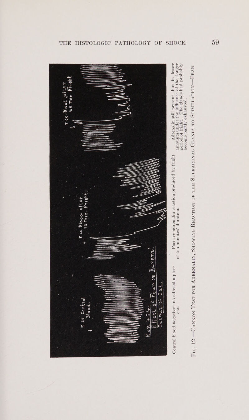 ‘UVa ]|—NOILVIAWILG OL SGNVID) IVNEUVEdNG AHL JO NOLLOVAY DNIMOHG ‘NITVNaUCY YOu LSAT, NONNV()— ZI ‘OMT *poysneyxe Apred ouro9eq Ajqeqoid pey spuvjs oy, “Gyst1y Jo porsoed IaSuo] 94} JO voUNNUI oy} Jopun syuNoUre ‘UOTJVANp ,SoeynurTU us} JO “quo asso] UL 4nq ‘jyueseid [[4s Ul[VUueIpYy qystaj Aq poonpoid UorjovoL UT[BUIIPB OATHISOT -soid uljeueipe OU faAT}BSOU POO] [O1}UOD) \ 4) ayaa ‘ite Qh JOr}U07 99S 33742 Pg mE PyoragZ UU or Sarge Poojg 794