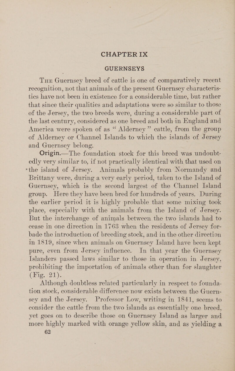 CHAPTER IX GUERNSEYS Tuer Guernsey breed of cattle is one of comparatively recent recognition, not that animals of the present Guernsey characteris- tics have not been in existence for a considerable time, but rather that since their qualities and adaptations were so similar to those of the Jersey, the two breeds were, during a considerable part of the last century, considered as one breed and both in England and America were spoken of as “ Alderney ” cattle, from the group of Alderney or Channel Islands to which the islands of Jersey and Guernsey belong. Origin.—The foundation stock for this breed was undoubt- edly very similar to, if not practically identical with that used on ‘the island of Jersey. Animals probably from Normandy and Brittany were, during a very early period, taken to the Island of Guernsey, which is the second largest of the Channel Island group. Here they have been bred for hundreds of years. During the earlier period it is highly probable that some mixing took place, especially with the animals from the Island of Jersey. But the interchange of animals between the two islands had to cease in one direction in 1763 when the residents of Jersey for- bade the introduction of breeding stock, and in the other direction in 1819, since when animals on Guernsey Island have been kept pure, even from Jersey influence. In that year the Guernsey Islanders passed laws similar to those in operation in Jersey, prohibiting the importation of animals other than for slaughter (Big. 224). Although doubtless related particularly in respect to founda- tion stock, considerable difference now exists between the Guern- sey and the Jersey. Professor Low, writing in 1841, seems to consider the cattle from the two islands as essentially one breed, yet goes on to describe those on Guernsey Island as larger and more highly marked with orange yellow skin, and as yielding a