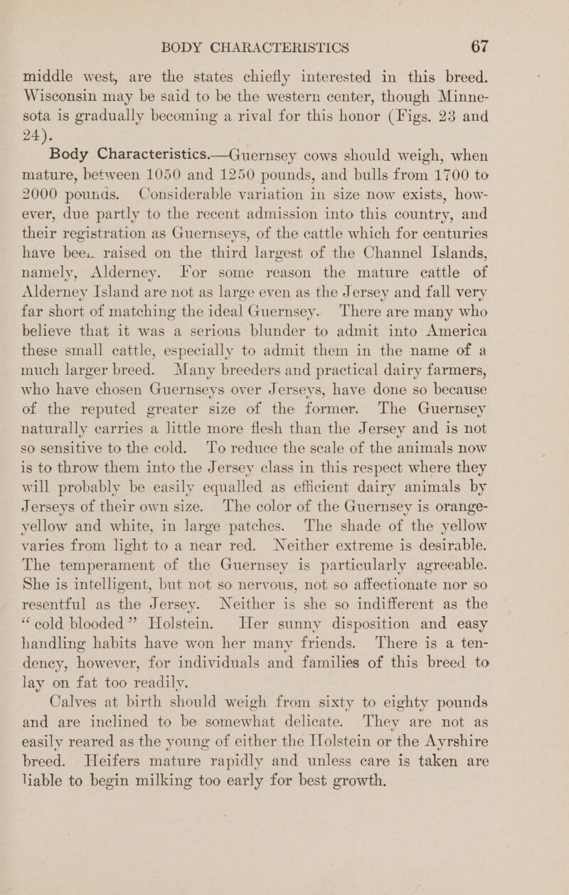 middle west, are the states chiefly interested in this breed. Wisconsin may be said to be the western center, though Minne- sota is gradually becoming a rival for this honor (Figs. 23 and 24), Body Characteristics.—Guernsey cows should weigh, when mature, between 1050 and 1250 pounds, and bulls from 1700 to 2000 pounds. Considerable variation in size now exists, how- ever, due partly to the recent admission into this country, and their registration as Guernseys, of the cattle which for centuries have bee:. raised on the third largest of the Channel Islands, namely, Alderney. or some reason the mature cattle of Alderney Island are not as large even as the Jersey and fall very far short of matching the ideal Guernsey. There are many who beheve that it was a serious blunder to admit into America these small cattle, especially to admit them in the name of a much larger breed. Many breeders and practical dairy farmers, who have chosen Guernseys over Jerseys, have done so because of the reputed greater size of the former. The Guernsey naturally carries a little more flesh than the Jersey and is not so sensitive to the cold. ‘To reduce the scale of the animals now is to throw them into the Jersey class in this respect where they will probably be easily equalled as efficient dairy animals by Jerseys of their own size. The color of the Guernsey is orange- yellow and white, in large patches. The shade of the yellow varies from light to a near red. Neither extreme is desirable. The temperament of the Guernsey is particularly agreeable. She is intelligent, but not so nervous, not so affectionate nor so resentful as the Jersey. Neither is she so indifferent as the “cold blooded”? Holstein. Her sunny disposition and easy handling habits have won her many friends. There is a ten- dency, however, for individuals and families of this breed to lay on fat too ae Calves at birth should weigh from sixty to eighty pounds and are inclined to be somewhat delicate. They are not as easily reared as the young of either the Holstein or the Ayrshire breed. Heifers mature rapidly and unless care is taken are liable to begin milking too early for best growth.