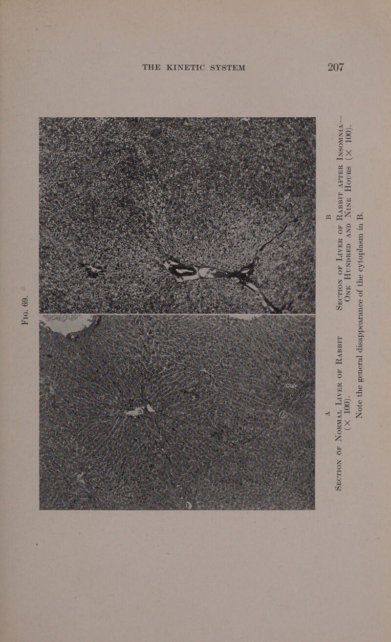 —VINWOSN]T YHLIV LIGAVyY AO UAAIT fO NOLL OE LIddvyYy HO Ut (010) a) AIT 'IVWHON JO NOILOGS