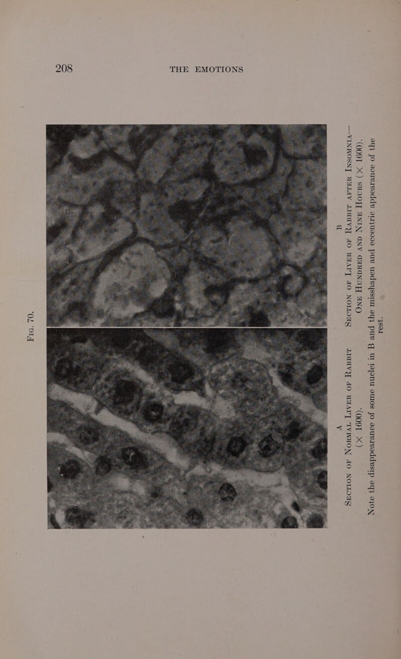 qSou oy} Jo souvrvodde o11ju9000 pu uodeyssiu oy} pus q UT Toponu oWOS jo sduUBAIvOddesIp oY} OJON ‘(OO9T X) SHMOPY ANIN GNV GaUuaNaAyY ANG ‘(OO9T X) —VINWOSN]T UALEV Liddvy AO UAAIT JO NOILOUG LIddVY JO UAAIT TVWHON JO NOLO a Vv