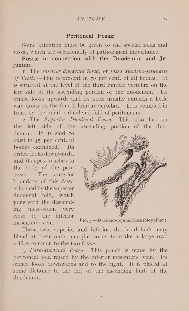 Peritoneal Fossze Some attention must be given to the special folds and fossee, which are occasionally of pathological importance. Fosse in connection with the Duodenum and Je- junum.— 1. The inferior duodenal fossa, or fossa duodeno-jejunalis of Treitz.—This 1s present in 70 per cent. of all bodies. It is situated at the level of the third lumbar vertebra on the left side of the ascending portion of the duodenum. Its orifice looks upwards and its apex usually extends a little way down on the fourth lumbar vertebra. It is bounded in front by the inferior duodenal fold of peritoneum. 2. The Superior Duodenal Fossa.—This also lies on the leit side of the ~ascending.-portion. of- the duo- denum. It is said to exist In 45 per cent. of bodies examined. Its orifice looks downwards, and its apex reaches to the body of the pan- creas The «anterior boundary of this fossa is formed by the superior duodenal fold, which joins with the descend- ing meso-colon very close to the inferior mesenteric vein. These two, superior and inferior, duodenal folds may blend at their outer margins so as to make a large oval orifice common to the two fosse. 3. Para-duodenal Fossa.—This pouch is made by the peritoneal fold raised by the inferior mesenteric vein. Its orifice looks downwards and to the right. It is placed at some distance to the left of the ascending limb of the duodenum. | Fic. 3.—Duodeno-jejunal fossa (Moynihan).