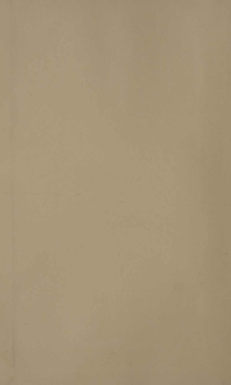 Lo | | RU ATEN RAT | 3 be 1) re k ne LIRE n 1 PEN tn) | ne . = ’ As e Le } iv ni À it LS {: | 3 rs à à ” ) + SUN  Ro ns A UE 4 F 5 2 Ms 9 | PME # ds 1e L : D { ? ‘ 1ù fans ane AUTRE 1