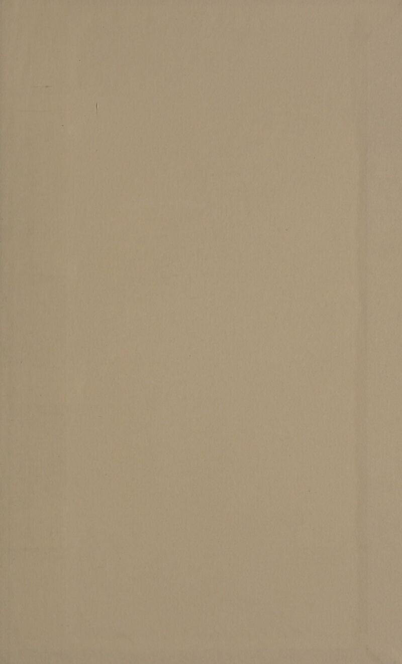 one ; Ji PET mur, rs je LAN