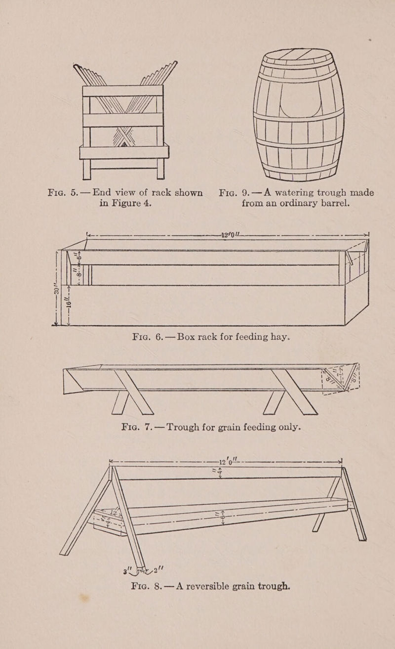 Fie. 5.— End view of rack shown Fic. 9.—A watering trough made in Figure 4. from an ordinary barrel.