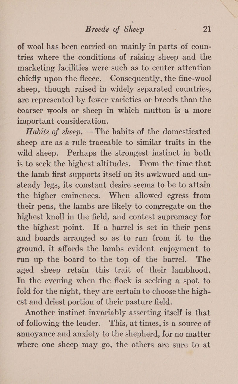 of wool has been carried on mainly in parts of coun- tries where the conditions of raising sheep and the marketing facilities were such as to center attention chiefly upon the fleece. Consequently, the fine-wool sheep, though raised in widely separated countries, are represented by fewer varieties or breeds than the coarser wools or sheep in which mutton is a more important consideration. Habits of sheep. — The habits of the domesticated sheep are as a rule traceable to similar traits in the wild sheep. Perhaps the strongest instinct in both is to seek the highest altitudes. From the time that the lamb first supports itself on its awkward and un- steady legs, its constant desire seems to be to attain the higher eminences. When allowed egress from their pens, the lambs are likely to congregate on the highest knoll in the field, and contest supremacy for the highest point. If a barrel is set in their pens and boards arranged so as to run from it to the ground, it affords the lambs evident enjoyment to run up the board to the top of the barrel. The aged sheep retain this trait of their lambhood. In the evening when the flock is seeking a spot to fold for the night, they are certain to choose the high- est and driest portion of their pasture field. Another instinct invariably asserting itself is that of following the leader. This, at times, is a source of annoyance and anxiety to the shepherd, for no matter where one sheep may go, the others are sure to at