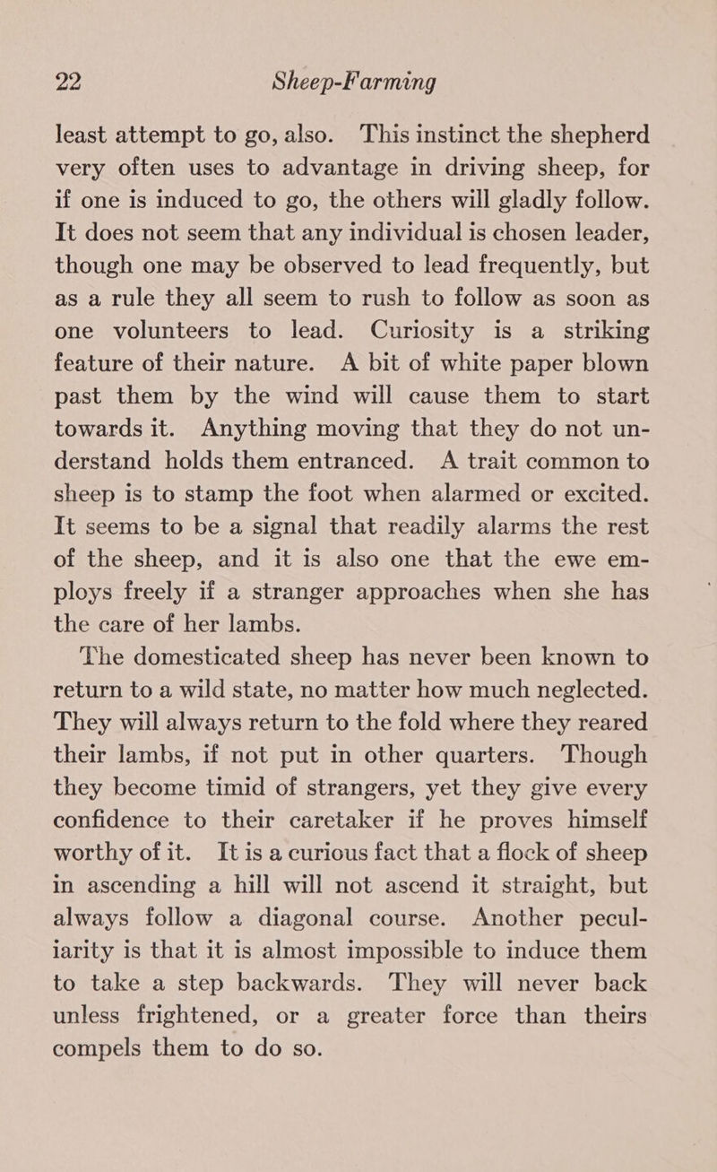 least attempt to go, also. This instinct the shepherd very often uses to advantage in driving sheep, for if one is induced to go, the others will gladly follow. It does not seem that any individual is chosen leader, though one may be observed to lead frequently, but as a rule they all seem to rush to follow as soon as one volunteers to lead. Curiosity is a_ striking feature of their nature. A bit of white paper blown past them by the wind will cause them to start towards it. Anything moving that they do not un- derstand holds them entranced. A trait common to sheep is to stamp the foot when alarmed or excited. It seems to be a signal that readily alarms the rest of the sheep, and it is also one that the ewe em- ploys freely if a stranger approaches when she has the care of her lambs. The domesticated sheep has never been known to return to a wild state, no matter how much neglected. They will always return to the fold where they reared their lambs, if not put in other quarters. Though they become timid of strangers, yet they give every confidence to their caretaker if he proves himself worthy of it. It isa curious fact that a flock of sheep in ascending a hill will not ascend it straight, but always follow a diagonal course. Another pecul- larity is that it is almost impossible to induce them to take a step backwards. They will never back unless frightened, or a greater force than theirs compels them to do so.