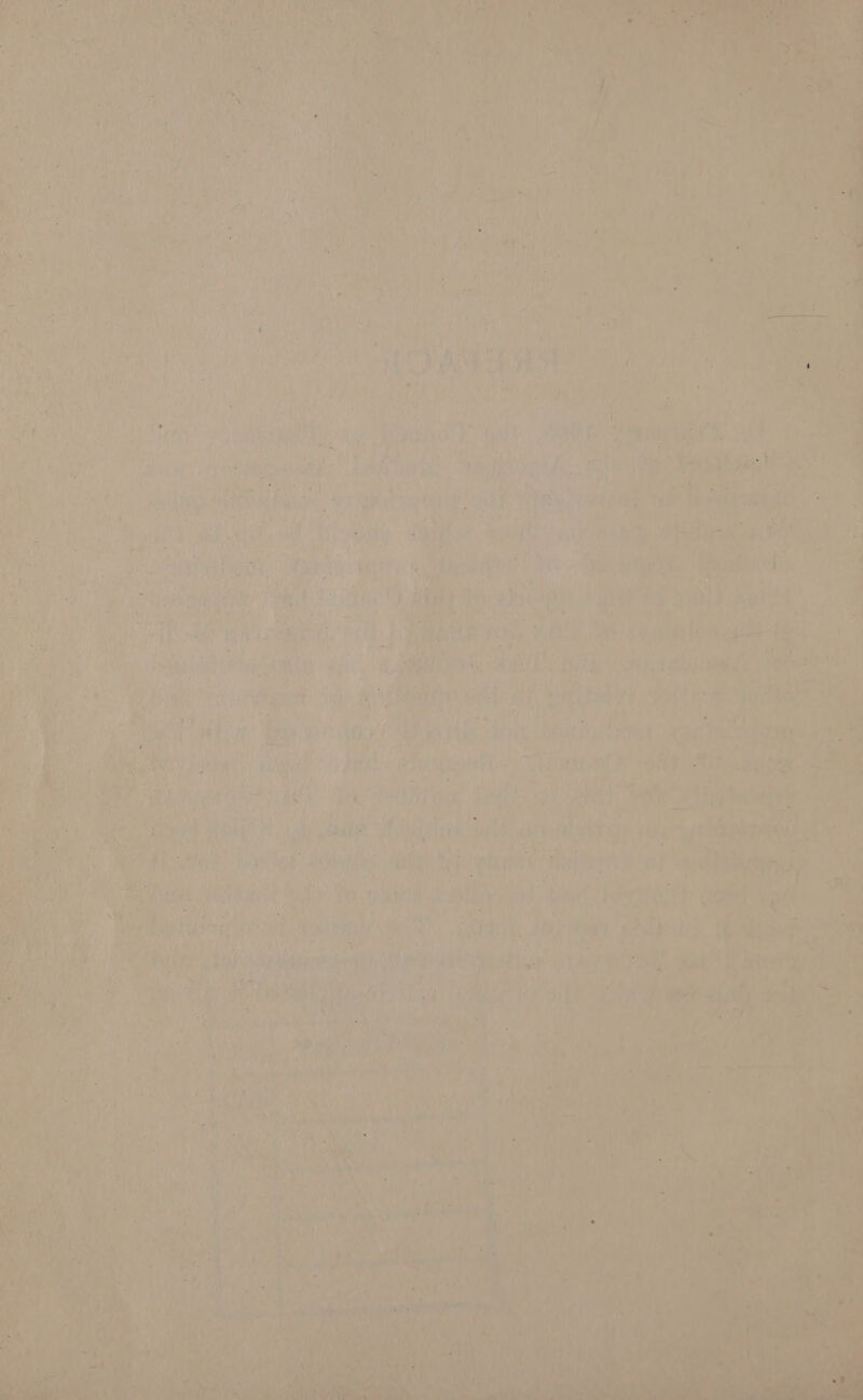 747 4 r? BES aie anf at os : - 3 ' a o ¥ ties ee a ive: ibe pei pe ew (3 any) aT f aiter ve ce patel i . at am ees 7 aun Bere, Dae isp i , aT oe! oe te en t} 7 OG ye Lei ia ‘ re Pet | 