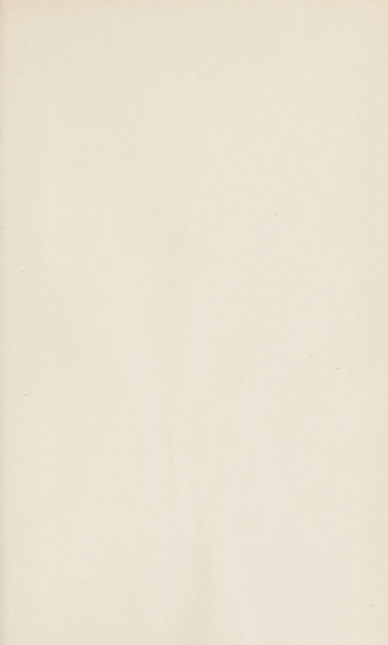 7 a | nev ae : wen i SO 7 neg ig Me ‘