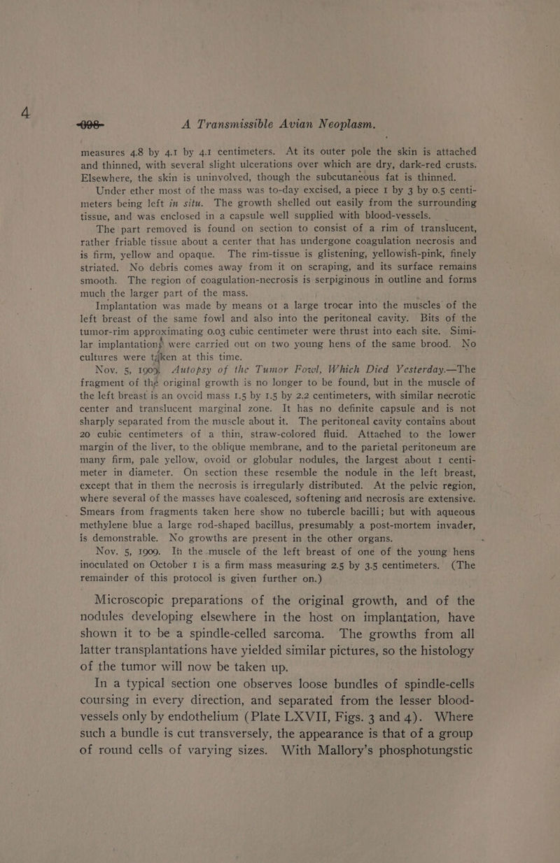 G28- A Transmissible Avian Neoplasm. measures 4.8 by 4.1 by 4.1 centimeters. At its outer pole the skin is attached and thinned, with several slight ulcerations over which are dry, dark-red crusts. Elsewhere, the skin is uninvolved, though the subcutaneous fat is thinned. ' Under ether most of the mass was to-day excised, a piece I by 3 by 0.5 centi- meters being left in situ. The growth shelled out easily from the surrounding tissue, and was enclosed in a capsule well supplied with blood-vessels. The part removed is found on section to consist of a rim of translucent, rather friable tissue about a center that has undergone coagulation necrosis and is firm, yellow and opaque. The rim-tissue is glistening, yellowish-pink, finely striated. No debris comes away from it on scraping, and its surface remains smooth. The region of coagulation-necrosis is serpiginous in outline and forms much the larger part of the mass. Implantation was made by means ot a large trocar into the muscles of the left breast of the same fowl and also into the peritoneal cavity. Bits of the tumor-rim approximating 0.03 cubic centimeter were thrust into each site. Simi- lar implantation? were carried out on two young hens of the same brood. No cultures were tdken at this time. Nov. 5, 1909, Autopsy of the Tumor Fowl, Which Died Yesterday.—The fragment of thé original growth is no longer to be found, but in the muscle of the left breast is an ovoid mass I.5 by 1.5 by 2.2 centimeters, with similar necrotic center and translucent marginal zone. It has no definite capsule and is not sharply separated from the muscle about it. The peritoneal cavity contains about 20 cubic centimeters of a thin, straw-colored fluid. Attached to the lower margin of the liver, to the oblique membrane, and to the parietal peritoneum are many firm, pale yellow, ovoid or globular nodules, the largest about 1 centi- meter in diameter. On section these resemble the nodule in the left breast, except that in them the necrosis is irregularly distributed. At the pelvic region, where several of the masses have coalesced, softening arid necrosis are extensive. Smears from fragments taken here show no tubercle bacilli; but with aqueous methylene blue a large rod-shaped bacillus, presumably a post-mortem invader, is demonstrable. No growths are present in the other organs. Nov. 5, 1909. I the muscle of the left breast of one of the young hens inoculated on October 1 is a firm mass measuring 2.5 by 3.5 centimeters. (The remainder of this protocol is given further on.) Microscopic preparations of the original growth, and of the nodules developing elsewhere in the host on implantation, have shown it to be a spindle-celled sarcoma. The growths from all latter transplantations have yielded similar pictures, so the histology of the tumor will now be taken up. In a typical section one observes loose bundles of spindle-cells coursing in every direction, and separated from the lesser blood- vessels only by endothelium (Plate LX VII, Figs. 3 and 4). Where such a bundle is cut transversely, the appearance is that of a group of round cells of varying sizes. With Mallory’s phosphotungstic