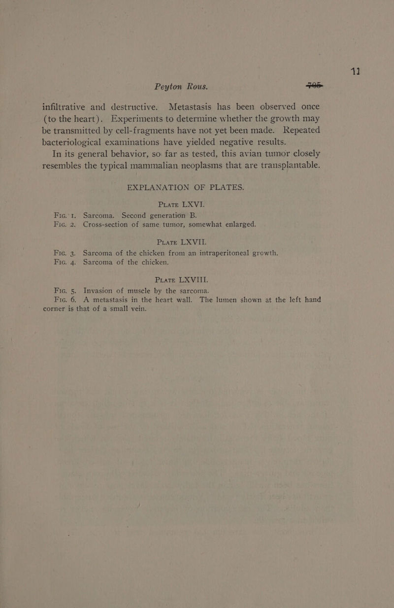 Fic. Fic. Fic. Fic. Pic EXPLANATION OF PLATES. PLATE LXVI. Sarcoma. Second generation B. Cross-section of same tumor, somewhat enlarged. PLATE LXVIil; Sarcoma of the chicken from an intraperitoneal growth. Sarcoma of the chicken. Pirate LXVIII. Invasion of muscle by the sarcoma. A metastasis in the heart wall. The lumen shown at the left hand