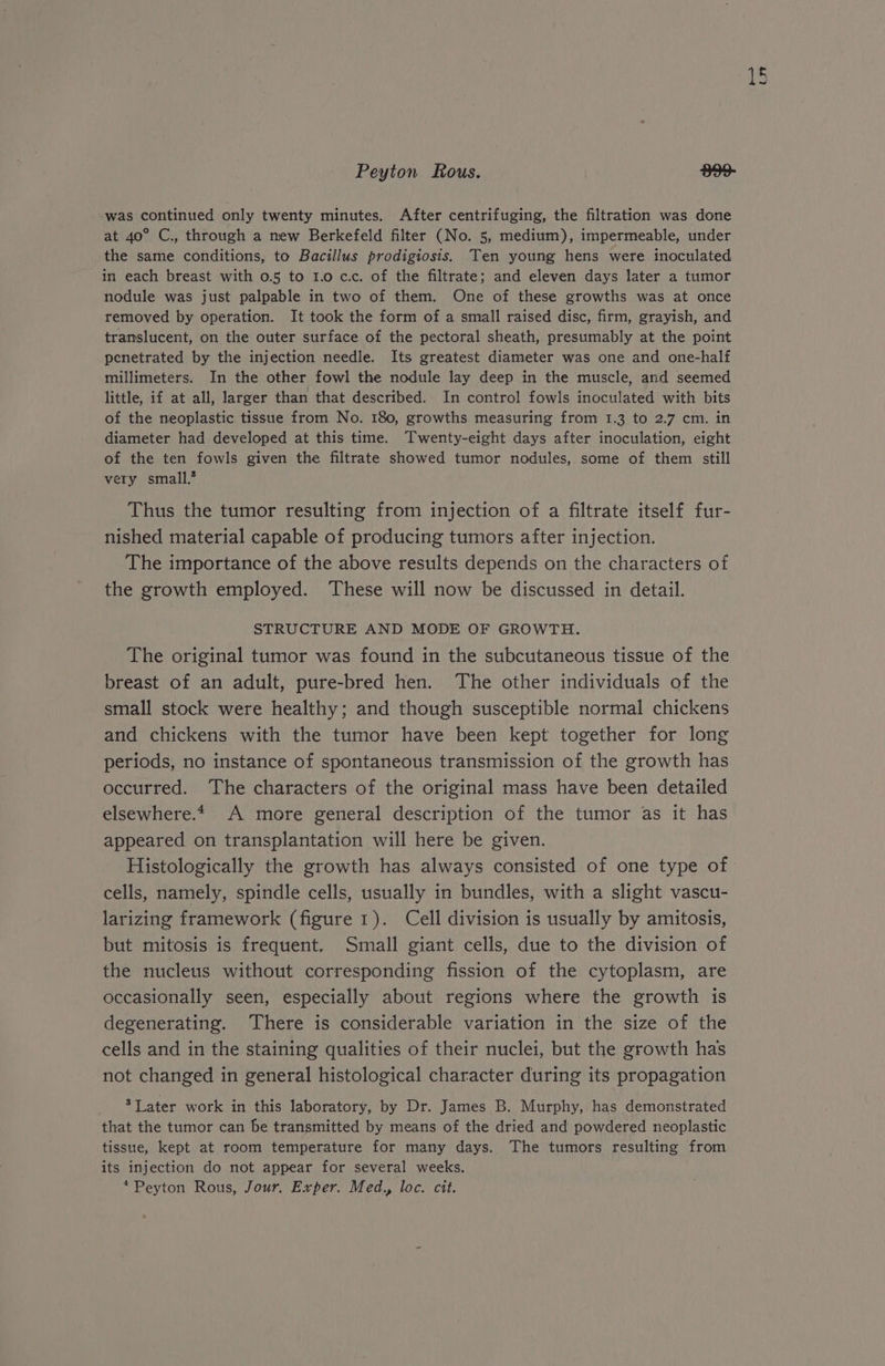 Peyton Rous. 899- was continued only twenty minutes. After centrifuging, the filtration was done at 40° C., through a mew Berkefeld filter (No. 5, medium), impermeable, under the same conditions, to Bacillus prodigiosis. Ten young hens were inoculated in each breast with 0.5 to 1.0 c.c. of the filtrate; and eleven days later a tumor nodule was just palpable in two of them. One of these growths was at once removed by operation. It took the form of a small raised disc, firm, grayish, and translucent, on the outer surface of the pectoral sheath, presumably at the point penetrated by the injection needle. Its greatest diameter was one and one-half millimeters. In the other fowl the nodule lay deep in the muscle, and seemed little, if at all, larger than that described. In control fowls inoculated with bits of the neoplastic tissue from No. 180, growths measuring from 1.3 to 2.7 cm. in diameter had developed at this time. Twenty-eight days after inoculation, eight of the ten fowls given the filtrate showed tumor nodules, some of them still very small.’ Thus the tumor resulting from injection of a filtrate itself fur- nished material capable of producing tumors after injection. The importance of the above results depends on the characters of the growth employed. These will now be discussed in detail. STRUCTURE AND MODE OF GROWTH. The original tumor was found in the subcutaneous tissue of the breast of an adult, pure-bred hen. The other individuals of the small stock were healthy; and though susceptible normal chickens and chickens with the tumor have been kept together for long periods, no instance of spontaneous transmission of the growth has occurred. The characters of the original mass have been detailed elsewhere. A more general description of the tumor as it has appeared on transplantation will here be given. Histologically the growth has always consisted of one type of cells, namely, spindle cells, usually in bundles, with a slight vascu- larizing framework (figure 1). Cell division is usually by amitosis, but mitosis is frequent. Small giant cells, due to the division of the nucleus without corresponding fission of the cytoplasm, are occasionally seen, especially about regions where the growth is degenerating. There is considerable variation in the size of the cells and in the staining qualities of their nuclei, but the growth has not changed in general histological character during its propagation ’Tater work in this laboratory, by Dr. James B. Murphy, has demonstrated that the tumor can be transmitted by means of the dried and powdered neoplastic tissue, kept at room temperature for many days. The tumors resulting from its injection do not appear for several weeks. * Peyton Rous, Jour. Exper. Med., loc. cit.