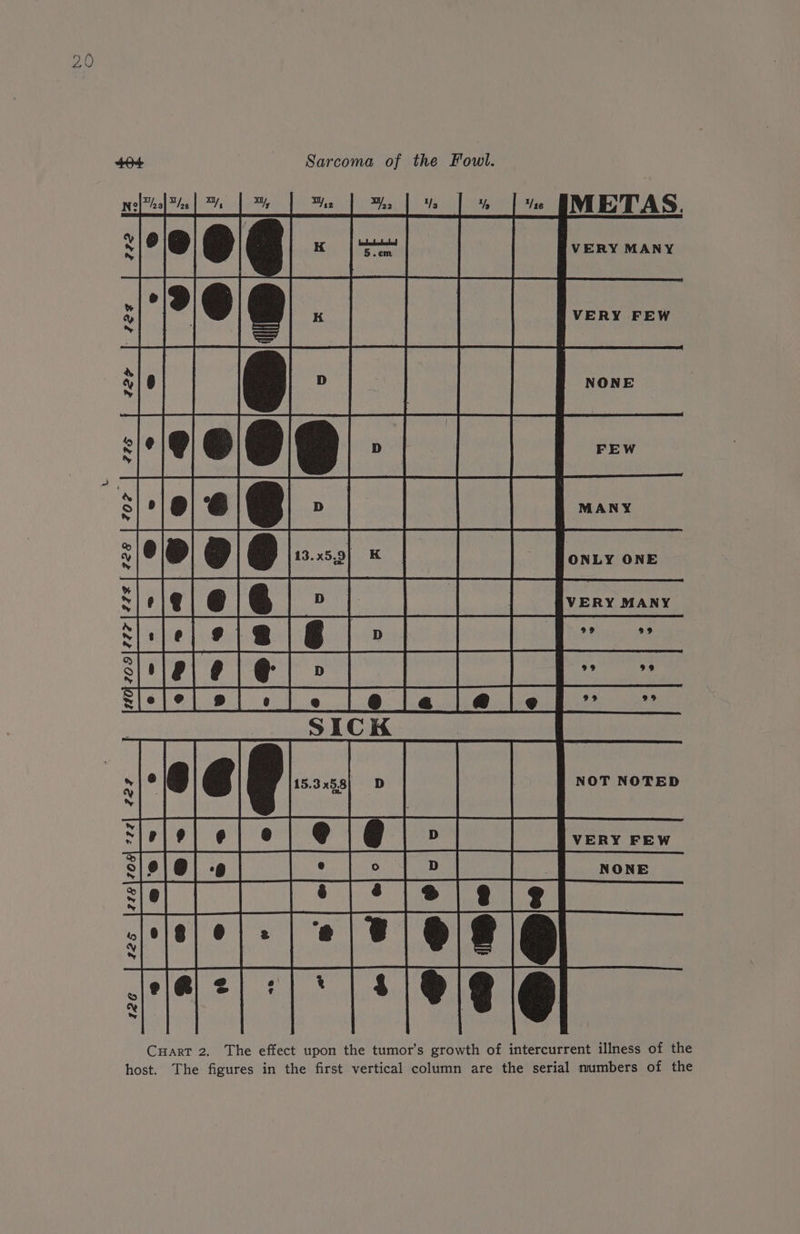 &gt; yaad Sarcoma of the Fowt. | s IMETAS. a RS se % é tw ry NONE RY &amp; 7 | ; % ANY 2 2 @ ONLY ONE ‘ie x VERY MANY s[+fe| 9 | Pee Oy s|'e| @ Re ieee coe &amp; s[e[e[s rele le@lel~ ~ x NOT NOTED Pee = % VERY FEW [e) sls|@j]-e| | * | oy Be none Sle[ [8S eee ty La ty z e|@ 2] s+} * | 8 a ° x | Cuart 2. The effect upon the tumor’s growth of intercurrent illness of the host. The figures in the first vertical column are the serial numbers of the