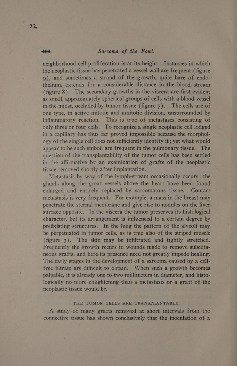 2% 466 Sarcoma of the Fowl. neighborhood cell proliferation is at its height. Instances in which the neoplastic tissue has penetrated a vessel wall are frequent (figure 9g), and sometimes a strand of the growth, quite bare of endo-- thelium, extends for a considerable distance in the blood stream (figure 8). The secondary growths in the viscera are first evident as small, approximately spherical groups of cells with a blood-vessel in the midst, occluded by tumor tissue (figure 7). The cells are of one type, in active mitotic and amitotic division, unsurrounded by inflammatory reaction. This is true of metastases consisting of only three or four cells. To recognize a single neoplastic cell lodged in a capillary has thus far proved impossible because the morphol- ogy of the single cell does not sufficiently identify it; yet what would appear to be such emboli are frequent in the pulmonary tissue. The question of the transplantability of the tumor cells has been settled in the affirmative by an examination of grafts of the neoplastic tissue removed shortly after implantation. Metastasis by way of the lymph-stream oreiana th occurs: the - glands along the great vessels above the heart have been found enlarged and entirely replaced by sarcomatous tissue. Contact metastasis is very frequent. For example, a mass in the breast may penetrate the sternal membrane and give rise to nodules on the liver surface opposite. In the viscera the tumor preserves its histological character, but its arrangement is influenced to a certain degree by preéxisting structures. In the lung the pattern of the alveoli may be perpetuated in tumor cells, as is true also of the striped muscle (figure 3). The skin may be infiltrated and tightly stretched. Frequently the growth recurs in wounds made to remove subcuta- neous grafts, and here its presence need not greatly impede healing. The early stages in the development of a sarcoma caused by a cell- free filtrate are difficult to obtain. When such a growth becomes palpable, it is already one to two millimeters in diameter, and histo- logically no more enlightening than a metastasis or a graft of the neoplastic tissue would be. THE TUMOR CELLS ARE TRANSPLANTABLE. A study of many grafts removed at short intervals from the connective tissue has shown conclusively that the inoculation of a