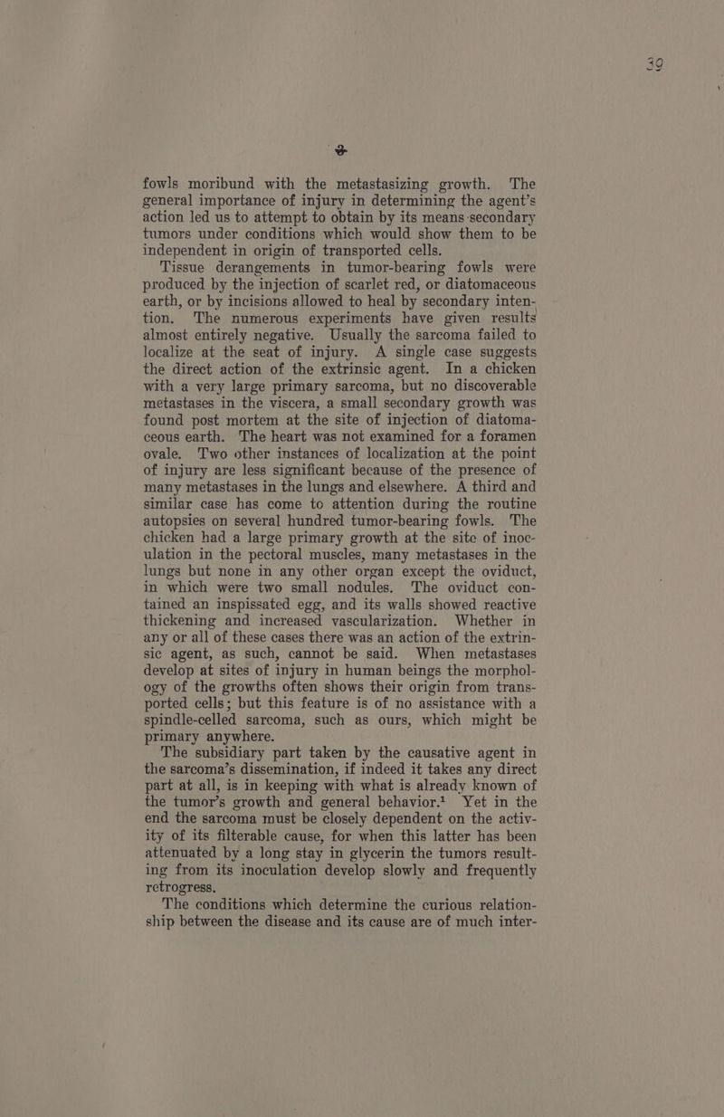 oe fowls moribund with the metastasizing growth. The general importance of injury in determining the agent’s action led us to attempt to obtain by its means secondary tumors under conditions which would show them to be independent in origin of transported cells. Tissue derangements in tumor-bearing fowls were produced by the injection of scarlet red, or diatomaceous earth, or by incisions allowed to heal by secondary inten- tion. 'The numerous experiments have given results almost entirely negative. Usually the sarcoma failed to localize at the seat of injury. A single case suggests the direct action of the extrinsic agent. In a chicken with a very large primary sarcoma, but no discoverable metastases in the viscera, a small secondary growth was found post mortem at the site of injection of diatoma- ceous earth. The heart was not examined for a foramen ovale. Two other instances of localization at the point of injury are less significant because of the presence of many metastases in the lungs and elsewhere. A third and similar case has come to attention during the routine autopsies on several hundred tumor-bearing fowls. The chicken had a large primary growth at the site of inoc- ulation in the pectoral muscles, many metastases in the lungs but none in any other organ except the oviduct, in which were two small nodules. The oviduct con- tained an inspissated egg, and its walls showed reactive thickening and increased vascularization. Whether in any or all of these cases there was an action of the extrin- sic agent, as such, cannot be said. When metastases develop at sites of injury in human beings the morphol- ogy of the growths often shows their origin from trans- ported cells; but this feature is of no assistance with a spindle-celled sarcoma, such as ours, which might be primary anywhere. The subsidiary part taken by the causative agent in the sarcoma’s dissemination, if indeed it takes any direct part at all, is in keeping with what is already known of the tumor’s growth and general behavior... Yet in the end the sarcoma must be closely dependent on the activ- ity of its filterable cause, for when this latter has been attenuated by a long stay in glycerin the tumors result- ing from its inoculation develop slowly and frequently retrogress, The conditions which determine the curious relation- ship between the disease and its cause are of much inter- Sa 8)