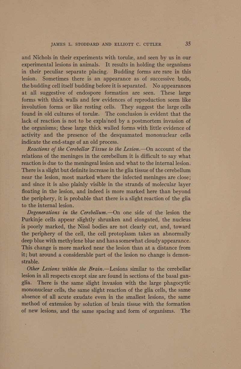 ; . and Nichols in their experiments with torule, and seen by us in our experimental lesions in animals. It results in holding the organisms in their peculiar separate placing. Budding forms are rare in this lesion. Sometimes there is an appearance as of successive buds, the budding cell itself budding before it is separated. No appearances at all suggestive of endospore formation are seen. These large forms with thick walls and few evidences of reproduction seem like involution forms or like resting cells. They suggest the large cells found in old cultures of torule. ‘The conclusion is evident that the lack of reaction is not to be explained by a postmortem invasion of the organisms; these large thick walled forms with little evidence of activity and the presence of the desquamated mononuclear cells indicate the end-stage of an old process. Reactions of the Cerebellar Tissue to the Lesion.—On account of the relations of the meninges in the cerebellum it is difficult to say what reaction is due to the meningeal lesion and what to the internal lesion. There is a slight but definite increase in the glia tissue of the cerebellum near the lesion, most marked where the infected meninges are close; and since it is also plainly visible in the strands of molecular layer floating in the lesion, and indeed is more marked here than beyond the periphery, it is probable that there is a slight reaction of the glia to the internal lesion. Degenerations in the Cerebellum.—On one side of the lesion the Purkinje cells appear slightly shrunken and elongated, the nucleus is poorly marked, the Nissl bodies are not clearly cut, and, toward the periphery of the cell, the cell protoplasm takes an abnormally deep blue with methylene blue and hasasomewhat cloudy appearance. This change is more marked near the lesion than at a distance from it; but around a considerable part of the lesion no change is demon- strable. Other Lesions within the Brain.—Lesions similar to the cerebellar lesion in all respects except size are found in sections of the basal gan- glia. There is the same slight invasion with the large phagocytic mononuclear cells, the same slight reaction of the glia cells, the same absence of all acute exudate even in the smallest lesions, the same method of extension by solution of brain tissue with the formation of new lesions, and the same spacing and form of organisms. The