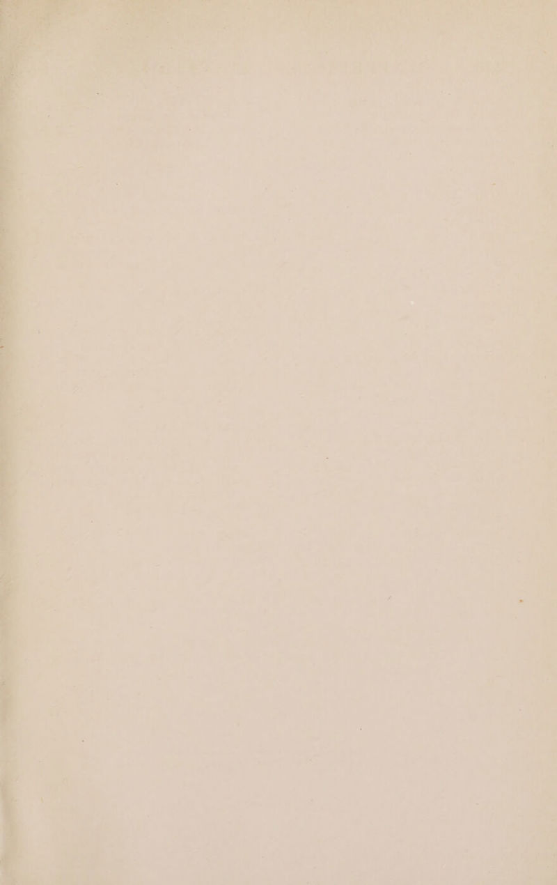 4 - a s Fie. i ae fe re 1 aon Wea a ee 4 : sy qi ~ ‘ -_