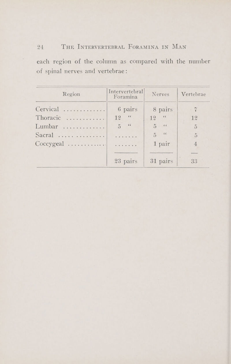each region of the column as compared with the number of spinal nerves and vertebrae: Region Intervertebral aes Nerves Vertebrae COCR, GS outa» eae 6 pairs 8 pairs 4 Mc's G cl Toe ee ee ee ie ci eae i ees 12 EA 5 gk ree ho Ha tet 5 ACT as ote are ee Steak we es 5 GREY Oe ire. ce cea. Casacl? hack eae 1 pair 4 23 pairs 81 pairs |. 33