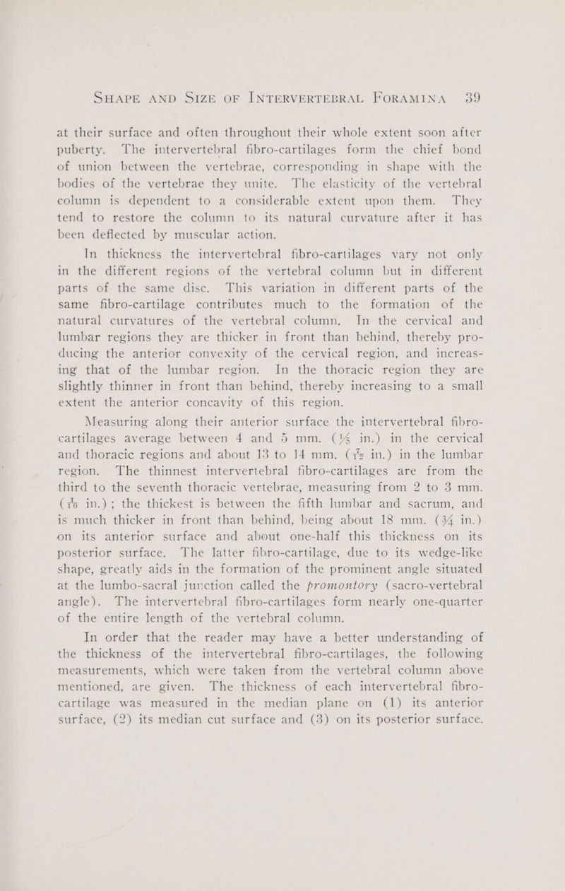 at their surface and often throughout their whole extent soon after puberty. The intervertebral fibro-cartilages form the chief bond of union between the vertebrae, corresponding in shape with the bodies of the vertebrae they unite. The elasticity of the vertebral column is dependent to a considerable extent upon them. They tend to restore the column to its natural curvature after it has been deflected by muscular action. In thickness the intervertebral fibro-cartilages vary not only in the different regions of the vertebral column but in different parts of the same disc. This variation in different parts of the same fibro-cartilage contributes much to the formation of the natural curvatures of the vertebral column. In the cervical and lumbar regions they are thicker in front than behind, thereby pro- ducing the anterior convexity of the cervical region, and increas- ing that of the lumbar region. In the thoracic region they are slightly thinner in front than behind, thereby increasing to a small extent the anterior concavity of this region. Measuring along their anterior surface the intervertebral fibro- cartilages average between 4 and 5 mm. (% in.) in the cervical and thoracic regions and about 13 to 14 mm. (7% in.) in the lumbar region. The thinnest intervertebral fibro-cartilages are from the third to the seventh thoracic vertebrae, measuring from 2 to 3 mm. ro in.); the thickest is between the fifth lumbar and sacrum, and is much thicker in front than behind, being about 18 mm. (34 in.) on its anterior surface and about one-half this thickness on its posterior surface. The latter fibro-cartilage, due to its wedge-like shape, greatly aids in the formation of the prominent angle situated at the lumbo-sacral junction called the promontory (sacro-vertebral angle). The intervertebral fibro-cartilages form nearly one-quarter of the entire length of the vertebral column. In order that the reader may have a better understanding of the thickness of the intervertebral fibro-cartilages, the following measurements, which were taken from the vertebral column above mentioned, are given. The thickness of each intervertebral fibro- cartilage was measured in the median plane on (1) its anterior surface, (2) its median cut surface and (3) on its posterior surface.