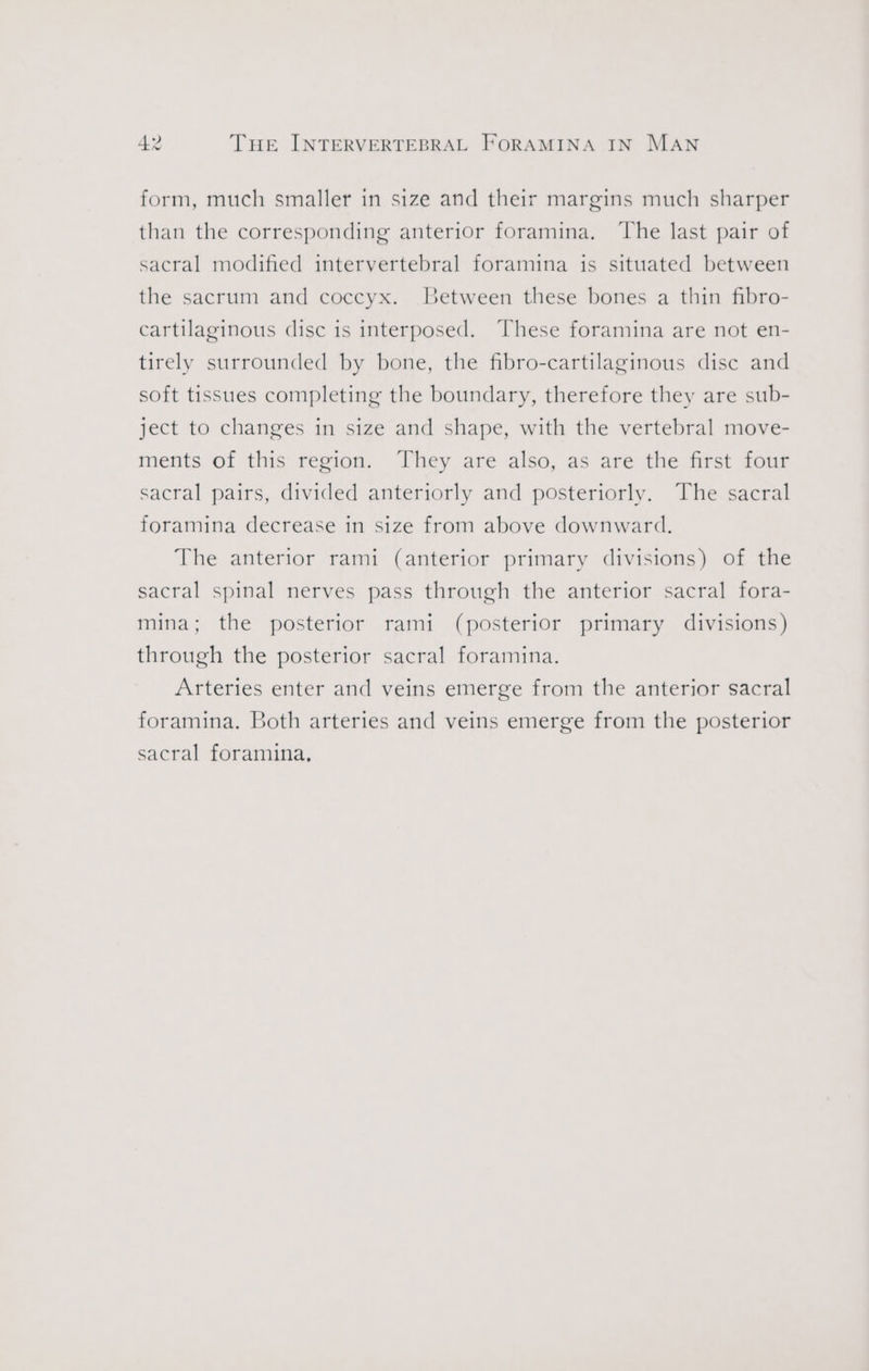 form, much smaller in size and their margins much sharper than the corresponding anterior foramina. ‘The last pair of sacral modified intervertebral foramina is situated between the sacrum and coccyx. Between these bones a thin fibro- cartilaginous disc is interposed. These foramina are not en- tirely surrounded by bone, the fibro-cartilaginous disc and soft tissues completing the boundary, therefore they are sub- ject to changes in size and shape, with the vertebral move- ments of this region. They are also, as are the first four sacral pairs, divided anteriorly and posteriorly. The sacral foramina decrease in size from above downward. The anterior rami (anterior primary divisions) of the sacral spinal nerves pass through the anterior sacral fora- mina; the posterior rami (posterior primary divisions) through the posterior sacral foramina. Arteries enter and veins emerge from the anterior sacral foramina. Both arteries and veins emerge from the posterior sacral foramina,