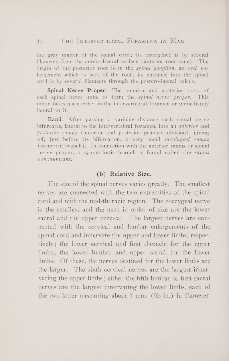 the gray matter of the spinal cord; its emergence is by several filaments from the antero-lateral surface (anterior root zone). The origin of the posterior root is in the spinal ganglion, an oval en- largement which is part of the root; its entrance into the spinal cord is by several filaments through the postero-lateral sulcus. Spinal Nerve Proper. The anterior and posterior roots of each spinal nerve unite to form the spinal nerve proper. This union takes place either in the intervertebral foramen or immediately lateral to it. Rami. After passing a variable distance each spinal nerve bifurcates, lateral to the intervertebral foramen, into an anterior and posterior ramus (anterior and posterior primary division), giving off, just before its bifurcation, a very small meningeal ramus (recurrent branch). In connection with the anterior ramus or spinal nerve proper, a sympathetic branch is found called the ramus communicans. (b) Relative Size. The size of the spinal nerves varies greatly. The smallest nerves are connected with the two extremities of the spinal cord and with the mid-thoracic region. The coccygeal nerve is the smallest and the next in order of size are the lower sacral and the upper cervical. The largest nerves are con- nected with the cervical and lumbar enlargements of the spinal cord and innervate the upper and lower limbs, respec- tively; the lower cervical and first thoracic for the upper limbs; the lower lumbar and upper sacral for the lower limbs. Of these, the nerves destined for the lower limbs are the larger. The sixth cervical nerves are the largest inner- vating the upper limbs; either the fifth lumbar or first sacral nerves are the largest innervating the lower limbs, each of the two latter measuring about 7 mm. (%s5 in.) in diameter,