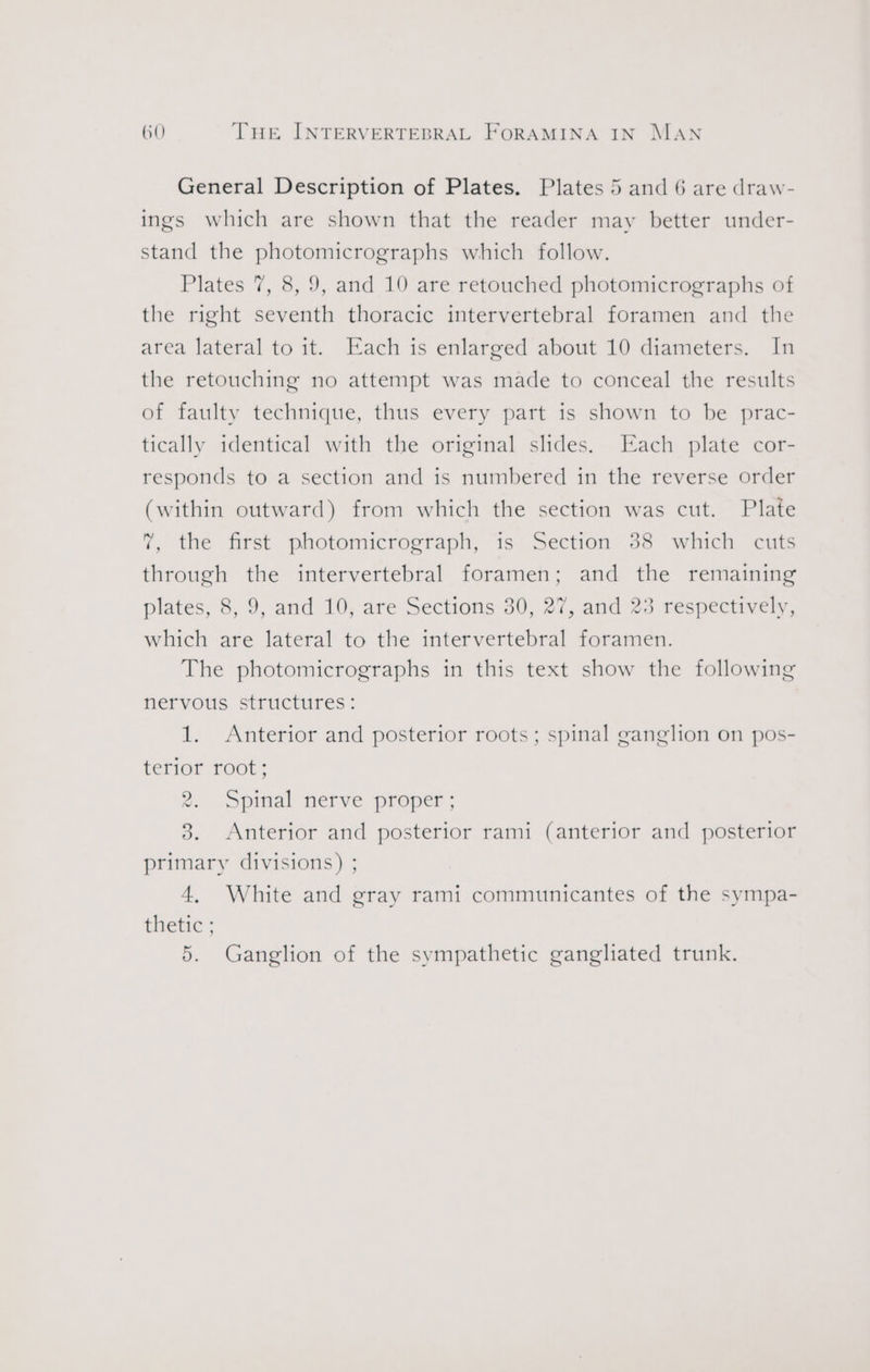 General Description of Plates. Plates 5 and 6 are draw- ings which are shown that the reader may better under- stand the photomicrographs which follow. Plates 7, 8, 9, and 10 are retouched photomicrographs of the right seventh thoracic intervertebral foramen and the area lateral to it. Each is enlarged about 10 diameters. In the retouching no attempt was made to conceal the results of faulty technique, thus every part is shown to be prac- tically identical with the original slides. Each plate cor- responds to a section and is numbered in the reverse order (within outward) from which the section was cut. Plate 7, the first photomicrograph, is Section 38 which cuts through the intervertebral foramen; and the remaining plates, 8, 9, and 10; are Sections 30, 27, and 23 respectively, which are lateral to the intervertebral foramen. The photomicrographs in this text show the following nervous structures: 1. Anterior and posterior roots ; spinal ganglion on pos- terior root; 2. Spinal nerve proper ; 3. Anterior and posterior rami (anterior and posterior primary divisions) ; 4, White and gray rami communicantes of the sympa- thetic ; 5. Ganglion of the sympathetic gangliated trunk.