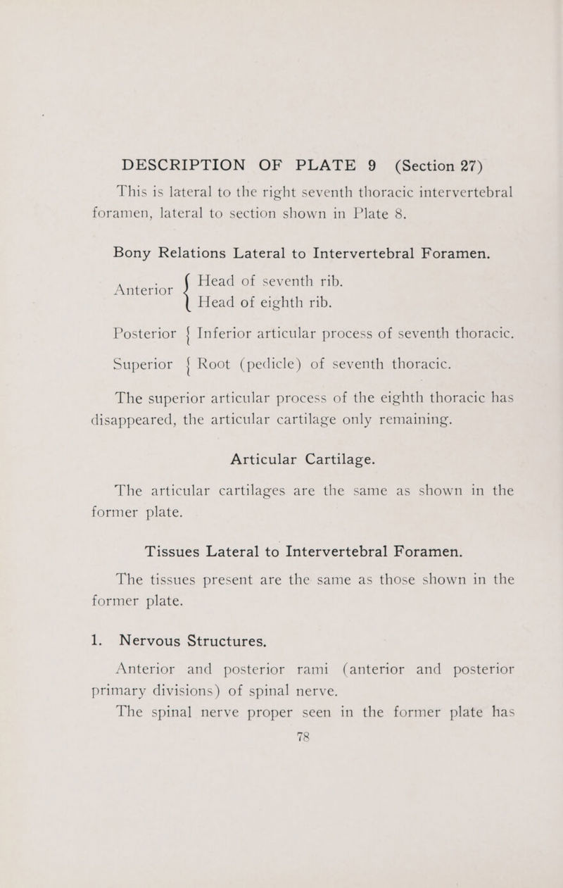 This is lateral to the right seventh thoracic intervertebral foramen, lateral to section shown in Plate 8. Bony Relations Lateral to Intervertebral Foramen. | Head of seventh rib. Anterior Head of eighth rib. Posterior Inferior articular process of seventh thoracic. Superior | Root (pedicle) of seventh thoracic. The superior articular process of the eighth thoracic has disappeared, the articular cartilage only remaining. Articular Cartilage. The articular cartilages are the same as shown in the former plate. Tissues Lateral to Intervertebral Foramen. The tissues present are the same as those shown in the former plate. 1. Nervous Structures. Anterior and posterior rami (anterior and posterior primary divisions) of spinal nerve. The spinal nerve proper seen in the former plate has
