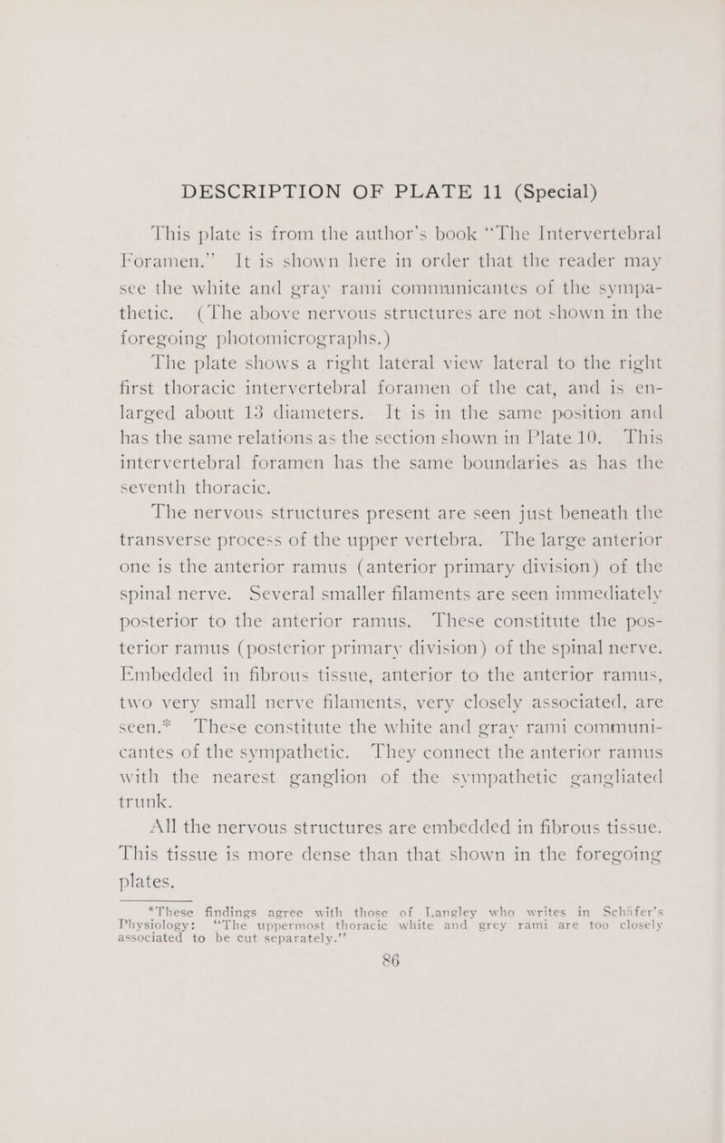 This plate is from the author's book ‘The Intervertebral Foramen.” It is shown here in order that the reader may see the white and gray rami communicantes of the sympa- thetic. (The above nervous structures are not shown in the foregoing photomicrographs. ) The plate shows a right lateral view lateral to the right first thoracic intervertebral foramen of the cat, and is en- larged about 13 diameters. It is in the same position and has the same relations as the section shown in Plate 10. This intervertebral foramen has the same boundaries as has the seventh thoracic. The nervous structures present are seen just beneath the transverse process of the upper vertebra. The large anterior one is the anterior ramus (anterior primary division) of the spinal nerve. Several smaller filaments are seen immediately posterior to the anterior ramus. These constitute the pos- terior ramus (posterior primary division) of the spinal nerve. Embedded in fibrous tissue, anterior to the anterior ramus, two very small nerve filaments, very closely associated, are seen.* These constitute the white and gray rami communi- cantes of the sympathetic. They connect the anterior ramus with the nearest ganglion of the sympathetic gangliated trunk. All the nervous structures are embedded in fibrous tissue. This tissue is more dense than that shown in the foregoing plates. *These findings agree with those of Tangley who writes in Schifer’s Physiology: ‘The uppermost thoracic white and grey rami are too closely associated to be cut separately.’’