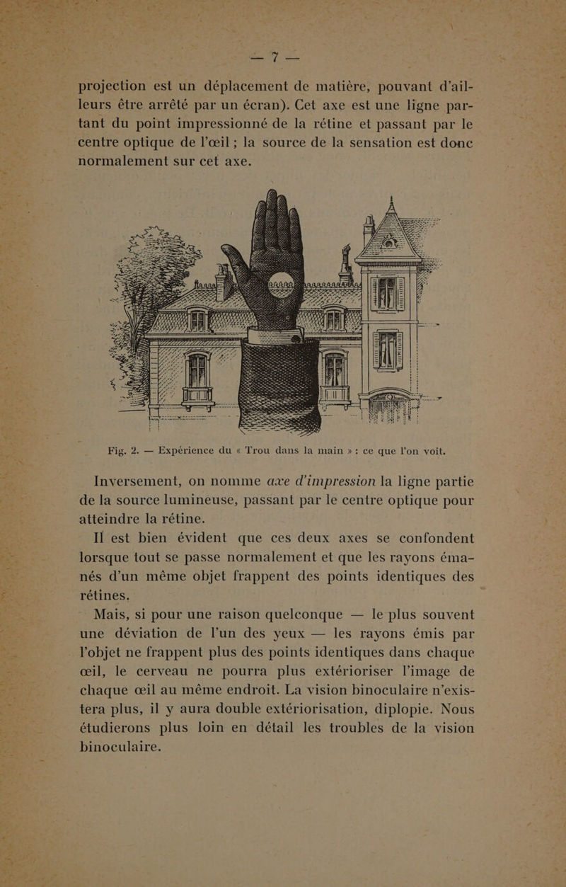 AL Ca e RAS 2. = cn rt re RS) rt Gen ÉAREA DATES Es QE 7 — projection est un déplacement de matière, pouvant d'ail- leurs être arrêté par un écran). Cet axe est une ligne par- tant du point impressionné de la rétine et passant par le centre optique de l’œil ; la source de la sensation est donc normalement sur cet axe. Fig. 2. — Expérience du « Trou dans la main » : ce que l’on voit. D Inversement, on nomme axe d'impression la ligne partie de la source lumineuse, passant par le centre optique pour atteindre la rétine. Il est bien évident que ces deux axes se confondent lorsque tout se passe normalement et que les rayons éma- nés d’un même objet frappent des points identiques des rétines. Mais, si pour une raison quelconque — le plus souvent une déviation de l’un des yeux — les rayons émis par l’objet ne frappent plus des points identiques dans chaque œil, le cerveau ne pourra plus extérioriser l’image de chaque œil au même endroit. La vision binoculaire n’exis- tera plus, il y aura double extériorisation, diplopie. Nous étudierons plus loin en détail les troubles de la vision binoculaire.