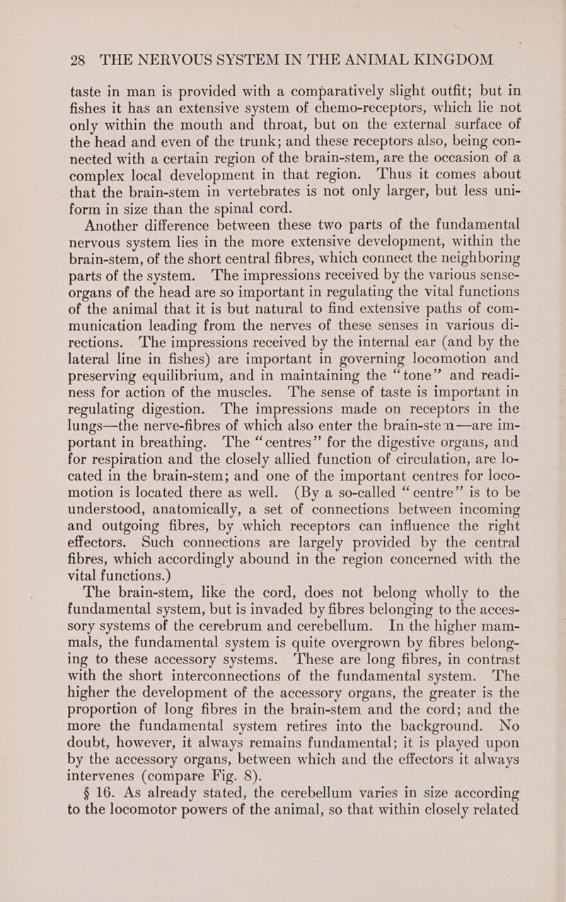 taste in man is provided with a comparatively slight outfit; but in fishes it has an extensive system of chemo-receptors, which lie not only within the mouth and throat, but on the external surface of the head and even of the trunk; and these receptors also, being con- nected with a certain region of the brain-stem, are the occasion of a complex local development in that region. ‘Thus it comes about that the brain-stem in vertebrates is not only larger, but less uni- form in size than the spinal cord. Another difference between these two parts of the fundamental nervous system lies in the more extensive development, within the brain-stem, of the short central fibres, which connect the neighboring parts of the system. The impressions received by the various sense- organs of the head are so important in regulating the vital functions of the animal that it is but natural to find extensive paths of com- munication leading from the nerves of these senses in various di- rections. ‘The impressions received by the internal ear (and by the lateral line in fishes) are important in governing locomotion and preserving equilibrium, and in maintaining the “tone” and readi- ness for action of the muscles. The sense of taste is important in regulating digestion. The impressions made on receptors in the lungs—the nerve-fibres of which also enter the brain-sten—are im- portant in breathing. The “centres” for the digestive organs, and for respiration and the closely allied function of circulation, are lo- cated in the brain-stem; and one of the important centres for loco- motion is located there as well. (By a so-called “centre” is to be understood, anatomically, a set of connections between incoming and outgoing fibres, by which receptors can influence the right effectors. Such connections are largely provided by the central fibres, which accordingly abound in the region concerned with the vital functions.) The brain-stem, like the cord, does not belong wholly to the fundamental system, but is invaded by fibres belonging to the acces- sory systems of the cerebrum and cerebellum. In the higher mam- mals, the fundamental system is quite overgrown by fibres belong- ing to these accessory systems. ‘These are long fibres, in contrast with the short interconnections of the fundamental system. ‘The higher the development of the accessory organs, the greater is the proportion of long fibres in the brain-stem and the cord; and the more the fundamental system retires into the background. No doubt, however, it always remains fundamental; it is played upon by the accessory organs, between which and the effectors it always intervenes (compare Fig. 8). § 16. As already stated, the cerebellum varies in size according to the locomotor powers of the animal, so that within closely related