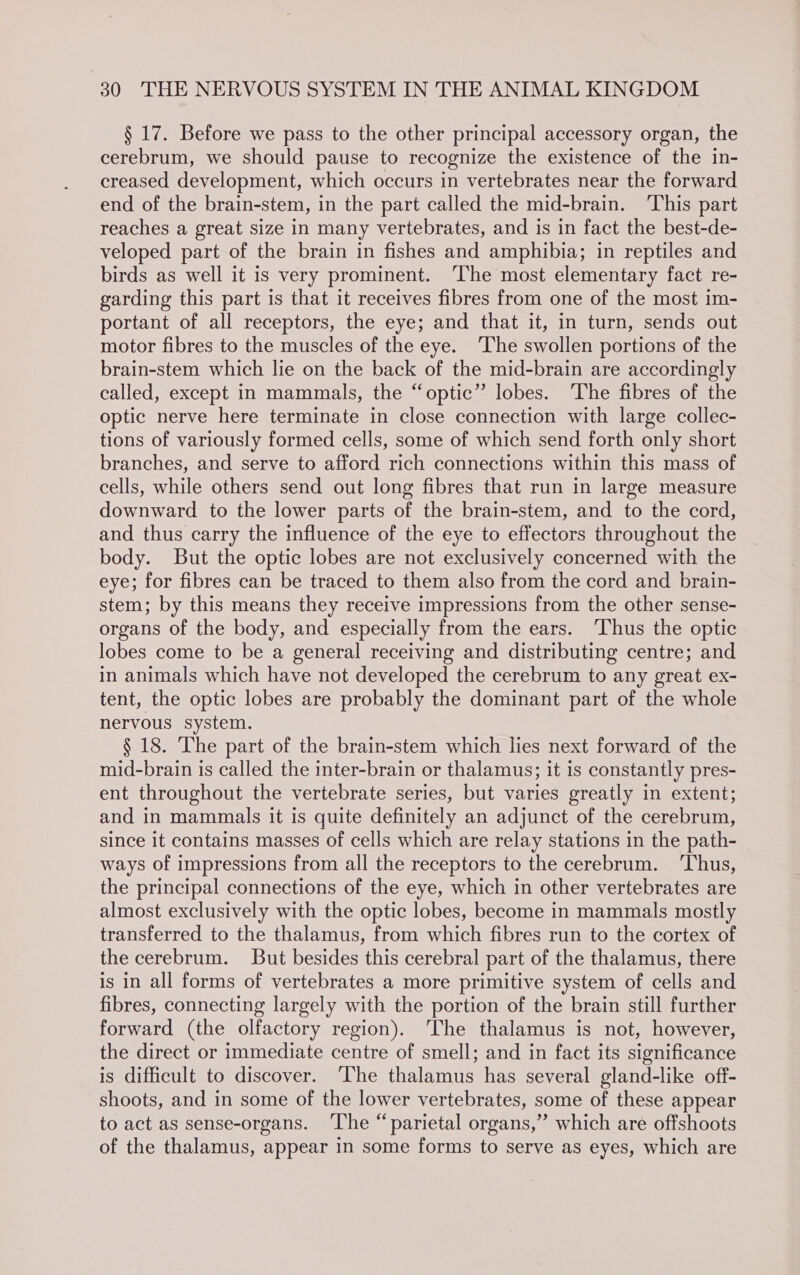 § 17. Before we pass to the other principal accessory organ, the cerebrum, we should pause to recognize the existence of the in- creased development, which occurs in vertebrates near the forward end of the brain-stem, in the part called the mid-brain. ‘This part reaches a great size in many vertebrates, and is in fact the best-de- veloped part of the brain in fishes and amphibia; in reptiles and birds as well it is very prominent. ‘The most elementary fact re- garding this part is that it receives fibres from one of the most im- portant of all receptors, the eye; and that it, in turn, sends out motor fibres to the muscles of the eye. ‘The swollen portions of the brain-stem which lie on the back of the mid-brain are accordingly called, except in mammals, the “optic” lobes. ‘The fibres of the optic nerve here terminate in close connection with large collec- tions of variously formed cells, some of which send forth only short branches, and serve to afford rich connections within this mass of cells, while others send out long fibres that run in large measure downward to the lower parts of the brain-stem, and to the cord, and thus carry the influence of the eye to effectors throughout the body. But the optic lobes are not exclusively concerned with the eye; for fibres can be traced to them also from the cord and brain- stem; by this means they receive impressions from the other sense- organs of the body, and especially from the ears. ‘Thus the optic lobes come to be a general receiving and distributing centre; and in animals which have not developed the cerebrum to any great ex- tent, the optic lobes are probably the dominant part of the whole nervous system. § 18. The part of the brain-stem which lies next forward of the mid-brain is called the inter-brain or thalamus; it is constantly pres- ent throughout the vertebrate series, but varies greatly in extent; and in mammals it is quite definitely an adjunct of the cerebrum, since it contains masses of cells which are relay stations in the path- ways of impressions from all the receptors to the cerebrum. ‘Thus, the principal connections of the eye, which in other vertebrates are almost exclusively with the optic lobes, become in mammals mostly transferred to the thalamus, from which fibres run to the cortex of the cerebrum. But besides this cerebral part of the thalamus, there is in all forms of vertebrates a more primitive system of cells and fibres, connecting largely with the portion of the brain still further forward (the olfactory region). ‘The thalamus is not, however, the direct or immediate centre of smell; and in fact its significance is difficult to discover. ‘The thalamus has several gland-like off- shoots, and in some of the lower vertebrates, some of these appear to act as sense-organs. ‘The “parietal organs,” which are offshoots of the thalamus, appear in some forms to serve as eyes, which are