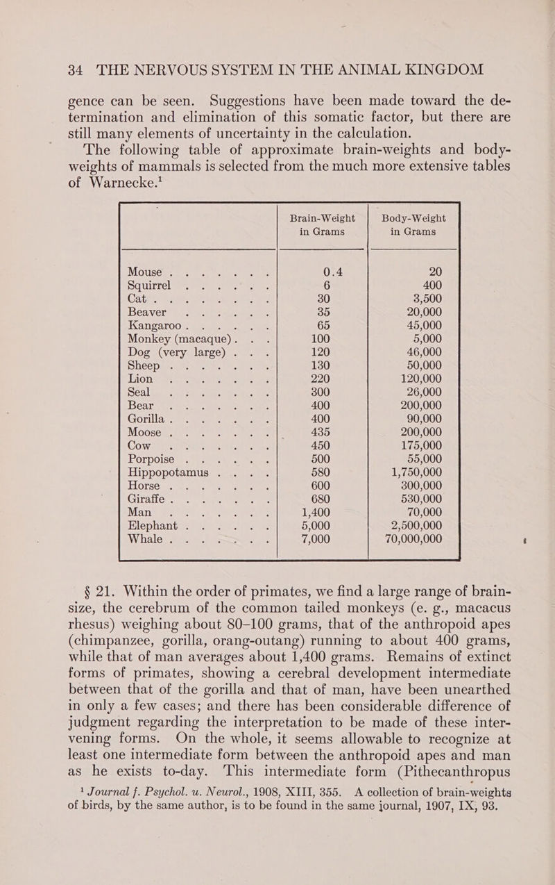 gence can be seen. Suggestions have been made toward the de- termination and elimination of this somatic factor, but there are still many elements of uncertainty in the calculation. The following table of approximate brain-weights and body- weights of mammals is selected from the much more extensive tables of Warnecke.’ Brain-Weight Body-Weight in Grams in Grams INOUSCay ett eter) eae : 20 Squirrel Sere ese eee 400 Ca Get aoe exerts ae ey 3,500 Beaver’ Gite Meira pees 20,000 ana TOO. (prmine amen ee 45,000 Monkey (macaque). . . 5,000 Dog (very oe Ra pet 2 46,000 Sheep . . ee 50,000 Tiong ate ae ie eras 120,000 SSCA as sng 2a ae es a 26,000 Beare wre cee, a 200,000 Gorilla 2 see ar re 90,000 MOOSCE AN eatin neces 200,000 COW.c) ste ae teen tetan aa Wet es 175,000 Porpoise ye. ara ee 55,000 Ferree oes 1,750,000 Horse . . SE 300,000 Girvan eee 530,000 Man tq ts a. 3 eee eee 70,000 KMlephanti ea) anne 2,500,000 WV hale See eee oat 70,000,000 § 21. Within the order of primates, we find a large range of brain- size, the cerebrum of the common tailed monkeys (e. g., macacus rhesus) weighing about 80-100 grams, that of the anthropoid apes (chimpanzee, gorilla, orang-outang) running to about 400 grams, while that of man averages about 1,400 grams. Remains of extinct forms of primates, showing a cerebral development intermediate between that of the gorilla and that of man, have been unearthed in only a few cases; and there has been considerable difference of judgment regarding the interpretation to be made of these inter- vening forms. On the whole, it seems allowable to recognize at least one intermediate form between the anthropoid apes and man as he exists to-day. ‘This intermediate form (Pithecanthropus 1 Journal f. Psychol. u. Neurol., 1908, XIII, 355. A collection of brain-weights of birds, by the same author, is to be found in the same journal, 1907, IX, 93.