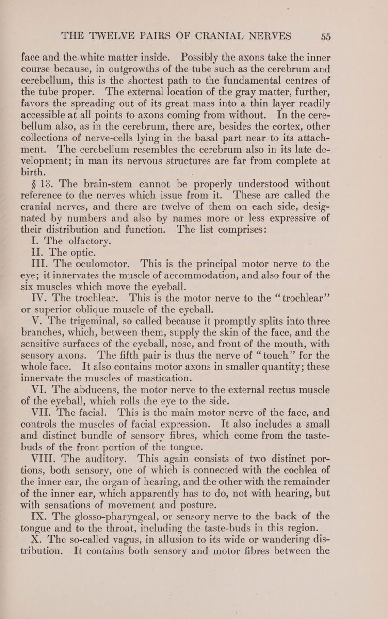 face and the white matter inside. Possibly the axons take the inner course because, in outgrowths of the tube such as the cerebrum and cerebellum, this is the shortest path to the fundamental centres of the tube proper. ‘The external location of the gray matter, further, favors the spreading out of its great mass into a thin layer readily accessible at all points to axons coming from without. In the cere- bellum also, as in the cerebrum, there are, besides the cortex, other collections of nerve-cells lying in the basal part near to its attach- ment. ‘The cerebellum resembles the cerebrum also in its late de- velopment; in man its nervous structures are far from complete at birth. | § 13. The brain-stem cannot be properly understood without reference to the nerves which issue from it. ‘These are called the cranial nerves, and there are twelve of them on each side, desig- nated by numbers and also by names more or less expressive of their distribution and function. The list comprises: I. The olfactory. i. Lhe optic. III. The oculomotor. This is the principal motor nerve to the eye; it innervates the muscle of accommodation, and also four of the six muscles which move the eyeball. IV. The trochlear. ‘This is the motor nerve to the “trochlear” or superior oblique muscle of the eyeball. V. The trigeminal, so called because it promptly splits into three branches, which, between them, supply the skin of the face, and the sensitive surfaces of the eyeball, nose, and front of the mouth, with sensory axons. ‘The fifth pair is thus the nerve of “touch” for the whole face. It also contains motor axons in smaller quantity; these innervate the muscles of mastication. VI. The abducens, the motor nerve to the external rectus muscle of the eyeball, which rolls the eye to the side. VII. The facial. This is the main motor nerve of the face, and controls the muscles of facial expression. It also includes a small and distinct bundle of sensory fibres, which come from the taste- buds of the front portion of the tongue. VII. The auditory. This again consists of two distinct por- _tions, both sensory, one of which is connected with the cochlea of the inner ear, the organ of hearing, and the other with the remainder of the inner ear, which apparently has to do, not with hearing, but with sensations of movement and posture. IX. The glosso-pharyngeal, or sensory nerve to the back of the tongue and to the throat, including the taste-buds in this region. X. The so-called vagus, in allusion to its wide or wandering dis- tribution. It contains both sensory and motor fibres between the
