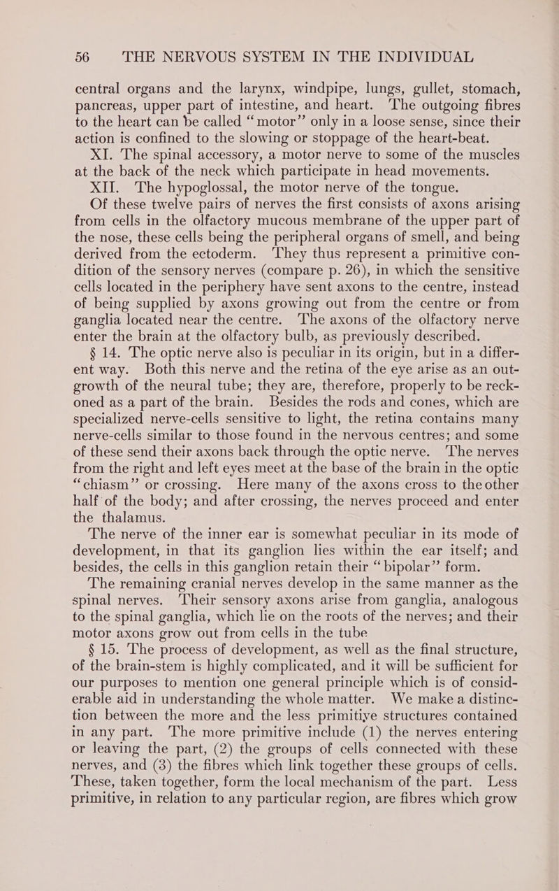 central organs and the larynx, windpipe, lungs, gullet, stomach, pancreas, upper part of intestine, and heart. ‘The outgoing fibres to the heart can be called “motor” only in a loose sense, since their action is confined to the slowing or stoppage of the heart-beat. XI. The spinal accessory, a motor nerve to some of the muscles at the back of the neck which participate in head movements. XII. The hypoglossal, the motor nerve of the tongue. Of these twelve pairs of nerves the first consists of axons arising from cells in the olfactory mucous membrane of the upper part of the nose, these cells being the peripheral organs of smell, and being derived from the ectoderm. ‘They thus represent a primitive con- dition of the sensory nerves (compare p. 26), in which the sensitive cells located in the periphery have sent axons to the centre, instead of being supplied by axons growing out from the centre or from ganglia located near the centre. ‘The axons of the olfactory nerve enter the brain at the olfactory bulb, as previously described. § 14. The optic nerve also is peculiar in its origin, but in a differ- ent way. Both this nerve and the retina of the eye arise as an out- growth of the neural tube; they are, therefore, properly to be reck- oned as a part of the brain. Besides the rods and cones, which are specialized nerve-cells sensitive to light, the retina contains many nerve-cells similar to those found in the nervous centres; and some of these send their axons back through the optic nerve. ‘The nerves from the right and left eyes meet at the base of the brain in the optic “chiasm” or crossing. Here many of the axons cross to the other half of the body; and after crossing, the nerves proceed and enter the thalamus. The nerve of the inner ear is somewhat peculiar in its mode of development, in that its ganglion lies within the ear itself; and besides, the cells in this ganglion retain their “bipolar” form. The remaining cranial nerves develop in the same manner as the spinal nerves. ‘Their sensory axons arise from ganglia, analogous to the spinal ganglia, which lie on the roots of the nerves; and their motor axons grow out from cells in the tube § 15. The process of development, as well as the final structure, of the brain-stem is highly complicated, and it will be sufficient for our purposes to mention one general principle which is of consid- erable aid in understanding the whole matter. We make a distinc- tion between the more and the less primitiye structures contained in any part. ‘The more primitive include (1) the nerves entering or leaving the part, (2) the groups of cells connected with these nerves, and (3) the fibres which link together these groups of cells. These, taken together, form the local mechanism of the part. Less primitive, in relation to any particular region, are fibres which grow