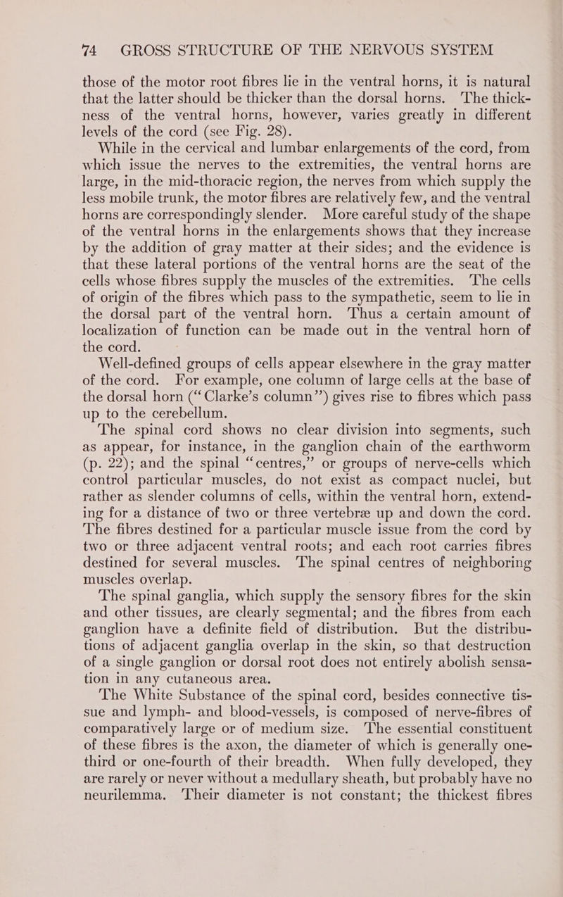 those of the motor root fibres lie in the ventral horns, it is natural that the latter should be thicker than the dorsal horns. ‘The thick- ness of the ventral horns, however, varies greatly in different levels of the cord (see Fig. 28). While in the cervical and lumbar enlargements of the cord, from which issue the nerves to the extremities, the ventral horns are large, in the mid-thoracic region, the nerves from which supply the less mobile trunk, the motor fibres are relatively few, and the ventral horns are correspondingly slender. More careful study of the shape of the ventral horns in the enlargements shows that they increase by the addition of gray matter at their sides; and the evidence is that these lateral portions of the ventral horns are the seat of the cells whose fibres supply the muscles of the extremities. ‘The cells of origin of the fibres which pass to the sympathetic, seem to lie in the dorsal part of the ventral horn. ‘Thus a certain amount of localization of function can be made out in the ventral horn of the cord. 7 Well-defined groups of cells appear elsewhere in the gray matter of the cord. For example, one column of large cells at the base of the dorsal horn (“ Clarke’s column’’) gives rise to fibres which pass up to the cerebellum. The spinal cord shows no clear division into segments, such as appear, for instance, in the ganglion chain of the earthworm (p. 22); and the spinal “centres,” or groups of nerve-cells which control particular muscles, do not exist as compact nuclei, but rather as slender columns of cells, within the ventral horn, extend- ing for a distance of two or three vertebrae up and down the cord. The fibres destined for a particular muscle issue from the cord by two or three adjacent ventral roots; and each root carries fibres destined for several muscles. ‘The spinal centres of neighboring muscles overlap. The spinal ganglia, which supply the sensory fibres for the skin and other tissues, are clearly segmental; and the fibres from each ganglion have a definite field of distribution. But the distribu- tions of adjacent ganglia overlap in the skin, so that destruction of a single ganglion or dorsal root does not entirely abolish sensa- tion in any cutaneous area. The White Substance of the spinal cord, besides connective tis- sue and lymph- and blood-vessels, is composed of nerve-fibres of comparatively large or of medium size. The essential constituent of these fibres is the axon, the diameter of which is generally one- third or one-fourth of their breadth. When fully developed, they are rarely or never without a medullary sheath, but probably have no neurilemma. ‘l‘heir diameter is not constant; the thickest fibres