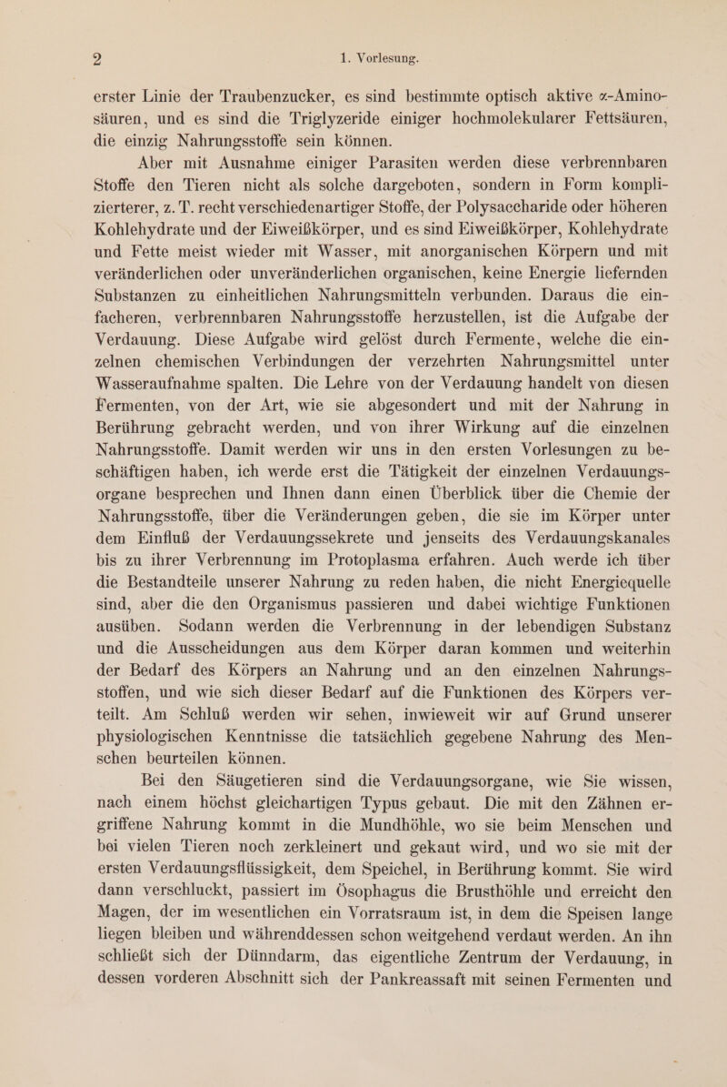 erster Linie der Traubenzucker, es sind bestimmte optisch aktive «-Amino- säuren, und es sind die Triglyzeride einiger hochmolekularer Fettsäuren, die einzig Nahrungsstoffe sein können. Aber mit Ausnahme einiger Parasiten werden diese verbrennbaren Stoffe den Tieren nicht als solche dargeboten, sondern in Form kompli- zierterer, z. T. recht verschiedenartiger Stoffe, der Polysaccharide oder höheren Kohlehydrate und der Eiweißkörper, und es sind Eiweißkörper, Kohlehydrate und Fette meist wieder mit Wasser, mit anorganischen Körpern und mit veränderlichen oder unveränderlichen organischen, keine Energie liefernden Substanzen zu einheitlichen Nahrungsmitteln verbunden. Daraus die ein- facheren, verbrennbaren Nahrungsstoffe herzustellen, ist die Aufgabe der Verdauung. Diese Aufgabe wird gelöst durch Fermente, welche die ein- zelnen chemischen Verbindungen der verzehrten Nahrungsmittel unter Wasseraufnahme spalten. Die Lehre von der Verdauung handelt von diesen Fermenten, von der Art, wie sie abgesondert und mit der Nahrung in Berührung gebracht werden, und von ihrer Wirkung auf die einzelnen Nahrungsstoffe. Damit werden wir uns in den ersten Vorlesungen zu be- schäftigen haben, ich werde erst die Tätigkeit der einzelnen Verdauungs- organe besprechen und Ihnen dann einen Überblick über die Chemie der Nahrungsstoffe, über die Veränderungen geben, die sie im Körper unter dem Einfluß der Verdauungssekrete und jenseits des Verdauungskanales bis zu ihrer Verbrennung im Protoplasma erfahren. Auch werde ich über die Bestandteile unserer Nahrung zu reden haben, die nicht Energiequelle sind, aber die den Organismus passieren und dabei wichtige Funktionen ausüben. Sodann werden die Verbrennung in der lebendigen Substanz und die Ausscheidungen aus dem Körper daran kommen und weiterhin der Bedarf des Körpers an Nahrung und an den einzelnen Nahrungs- stoffen, und wie sich dieser Bedarf auf die Funktionen des Körpers ver- teilt. Am Schluß werden wir sehen, inwieweit wir auf Grund unserer physiologischen Kenntnisse die tatsächlich gegebene Nahrung des Men- schen beurteilen können. Bei den Säugetieren sind die Verdauungsorgane, wie Sie wissen, nach einem höchst gleichartigen Typus gebaut. Die mit den Zähnen er- griffene Nahrung kommt in die Mundhöhle, wo sie beim Menschen und bei vielen Tieren noch zerkleinert und gekaut wird, und wo sie mit der ersten Verdauungsflüssigkeit, dem Speichel, in Berührung kommt. Sie wird dann verschluckt, passiert im Ösophagus die Brusthöhle und erreicht den Magen, der im wesentlichen ein Vorratsraum ist, in dem die Speisen lange liegen bleiben und währenddessen schon weitgehend verdaut werden. An ihn schließt sich der Dünndarm, das eigentliche Zentrum der Verdauung, in dessen vorderen Abschnitt sich der Pankreassaft mit seinen Fermenten und