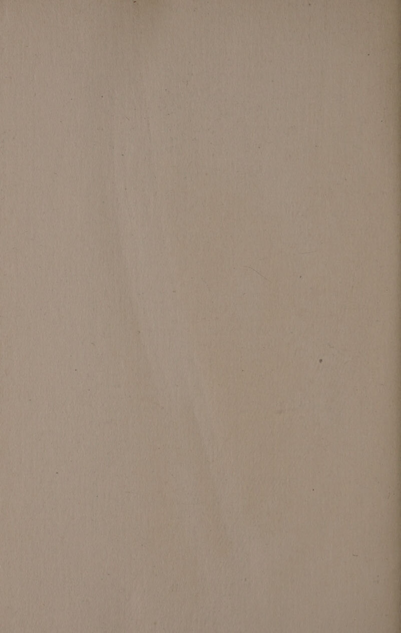 rea ‘ ih : Ly A {fey ¢ Ts ari ey a” LY. f,) is 1 aie Eaten 7 ae i, meas 1, 5B f t Re | Y ’ ’ A DP ee. a hy RAY g MA | Ky ' y ie oh} 7 Pat q al ; ii , 4