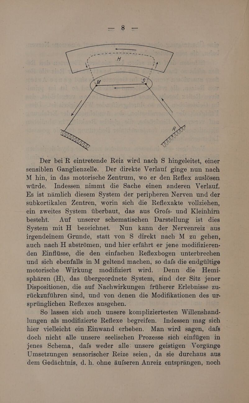 Der bei R eintretende Reiz wird nach S hingeleitet, einer sensiblen Ganglienzelle. Der direkte Verlauf ginge nun nach M hin, in das motorische Zentrum, wo er den Reflex auslösen würde. Indessen nimmt die Sache einen anderen Verlauf. Es ist nämlich diesem System der peripheren Nerven und der subkortikalen Zentren, worin sich die Reflexakte vollziehen, ein zweites System. überbaut, das aus Grols- und Kleinhirn besteht. Auf unserer schematischen Darstellung ist dies System mit H bezeichnet. Nun kann der Nervenreiz aus irgendeinem Grunde, statt von S direkt nach M zu gehen, auch nach H abströmen, und hier erfährt er jene modifizieren- den Einflüsse, die den einfachen Reflexbogen unterbrechen und sich ebenfalls in M geltend machen, so dafs die endgültige motorische Wirkung modifiziert wird. Denn die Hemi- sphären (H), das übergeordnete System, sind der Sitz jener Dispositionen, die auf Nachwirkungen früherer Erlebnisse zu- rückzuführen sind, und von denen die Modifikationen des ur- sprünglichen Reflexes ausgehen. So lassen sich auch unsere kompliziertesten Willenshand- lungen als modifizierte Reflexe begreifen. Indessen mag sich hier vielleicht ein Einwand erheben. Man wird sagen, dafs doch nicht alle unsere seelischen Prozesse sich einfügen in jenes Schema, dals weder alle: unsere geistigen Vorgänge Umsetzungen sensorischer Reize seien, da sie durchaus aus dem Gedächtnis, d.h. ohne äulseren Anreiz entsprängen, noch