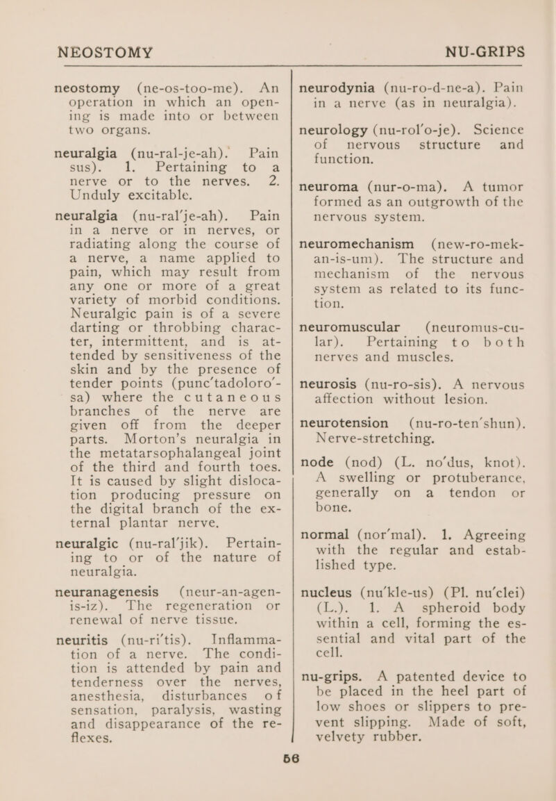 NEOSTOMY neostomy (ne-os-too-me). An operation in which an open- ing is made into or between two organs. neuralgia (nu-ral-je-ah). Pain sus). 1. Pertaining to a nerve or to the nerves. 2. Unduly excitable. neuralgia (nu-ral’je-ah). Pain in a nerve or in nerves, or radiating along the course of a nerve, a name applied to pain, which may result from any one or more of a great variety of morbid conditions. Neuralgic pain is of a severe darting or throbbing charac- ter, intermittent, and is at- tended by sensitiveness of the skin and by the presence of tender points (punc’tadoloro’- sa) where the cutaneous branches of the nerve are given off from the deeper parts. Morton’s neuralgia in the metatarsophalangeal joint of the third and fourth toes. It is caused by slight disloca- tion producing pressure on the digital branch of the ex- ternal plantar nerve. neuralgic (nu-ral’jik). Pertain- ing to or of the nature of neuralgia. neuranagenesis (neur-an-agen- is-iz). The regeneration or renewal of nerve tissue. neuritis (nu-ritis). Inflamma- tion of a nerve. The condi- tion is attended by pain and tenderness over the nerves, anesthesia, disturbances of sensation, paralysis, wasting and disappearance of the re- flexes. 56 NU-GRIPS neurodynia (nu-ro-d-ne-a). Pain in a nerve (as in neuralgia). neurology (nu-rol’o-je). Science of nervous’. structure and function. neuroma (nur-o-ma). A tumor formed as an outgrowth of the nervous system. neuromechanism (new-ro-mek- an-is-um). The structure and mechanism of the nervous system as related to its func- tion. neuromuscular (neuromus-cu- lar). Pertaining to both nerves and muscles. neurosis (nu-ro-sis). A nervous affection without lesion. neurotension (nu-ro-ten’shun). Nerve-stretching. node (nod) (L. no’dus, knot). A swelling or protuberance, generally on a tendon or bone. normal (normal). 1. Agreeing with the regular and estab- lished type. nucleus (nu’kle-us) (Pl. nu’clei) (L.). 1. A spheroid body within a cell, forming the es- Ns and vital part of the cell. nu-grips. A patented device to be placed in the heel part of low shoes or slippers to pre- vent slipping. Made of soft, velvety rubber.