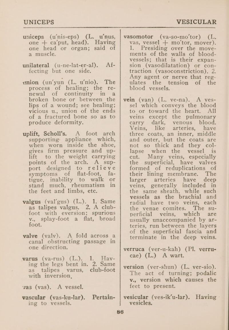 UNICEPS VESICULAR utliceps (u’nis-eps) (L. w’nus, one + ca’put, head). Having one head or organ; said of a muscle. unilateral (u-ne-lat-er-al). Af- fecting but one side. anion (un’yun (L. w’nio). The process of healing; the re- newal of continuity in a broken bone or between the lips of a wound; see healing; vicious u., union of the ends of a fractured bone so as to produce deformity. uplift, Scholl’s. A foot arch supporting» appliance which, when worn inside the shoe, gives firm pressure and up- lift to the weight carrying points of the arch. A_ sup- port designed to relieve symptoms of flat-foot, fa- tigue, inability to walk or stand much, rheumatism in the feet and limbs, etc. 1. Same 2. A club- spurious broad valgus (val’gus) (L.). as talipes valgus. foot with eversion; v., splay-foot a flat, foot. valve (valv). A fold across a canal obstructing passage in one direction. varus (va-rus) (L.). 1. Hav- ing the legs bent in. 2. Same as talipes varus, club-foot with inversion, yas (vas). A vessel. vascular (vas-ku-lar). Pertain- ing to vessels. vasomotor (va-so-mo’tor) (L. vas, vessel + mo’tor, mover). 1. Presiding over the move- ments of the walls of blood- vessels; that is their expan- sion (vasodilatation) or con- traction (vasoconstriction). 2. Any agent or nerve that reg- ulates the tension of the blood vessels. vein (van) (L. ve-na). &lt;A ves- sel which conveys the blood to or toward the heart. All veins except the pulmonary carry dark, venous. blood. Veins, like arteries, have three coats, an inner, middle and outer, but the coats are not so thick and they col- lapse when the _ vessel is cut. Many veins, especially the superficial, have valves formed of reduplications of their lining membrane. The larger arteries have deep veins, generally included in the same sheath, while such vessels as the brachial and radial have two veins, each the venae comites. The su- perficial veins, which are usually unaccompanied by ar- teries, run between the layers of the superficial fascia and terminate in the deep veins. verruca (ver-u-kah) (PI. verru- cae) (L.) A wart. 86 The act of turning; podalic v., version which causes the feet to present. vesicular (ves-ik’u-lar). Having vesicles.