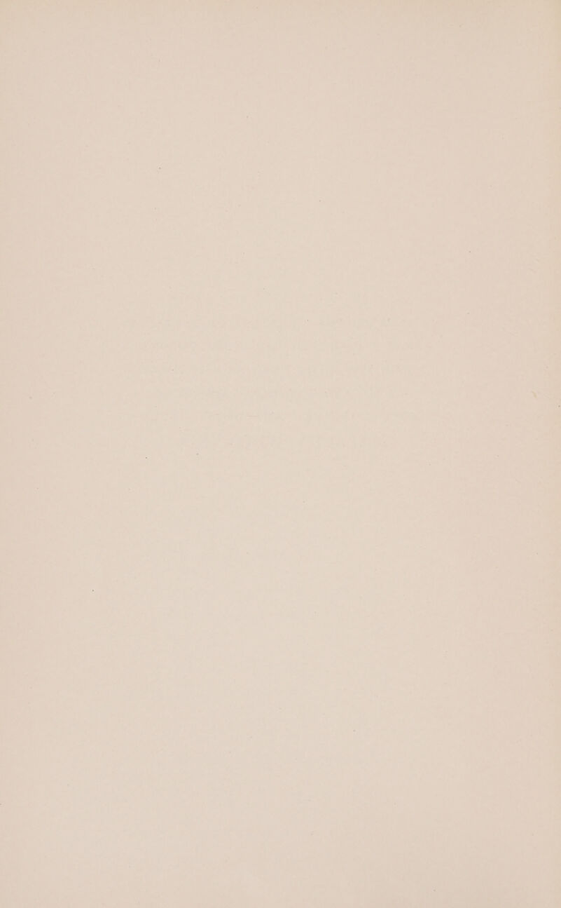 nee Pick ae oe &gt; 2) &gt; bee