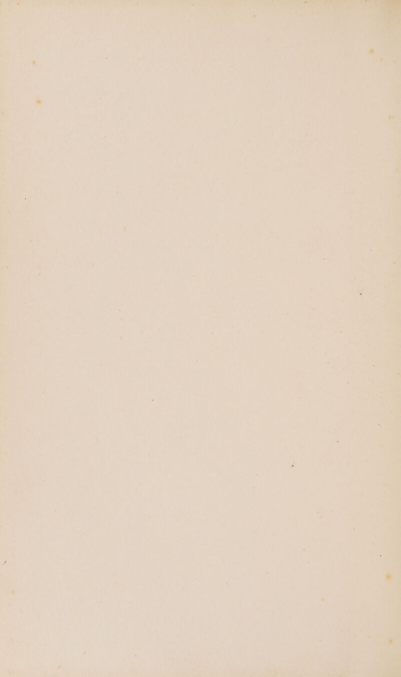 ‘ if r Pay as, a ae